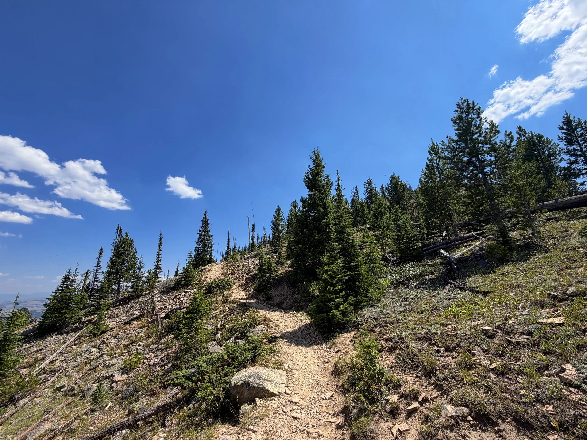 Bunsen Peak Trail Yellowstone National Park Wyoming