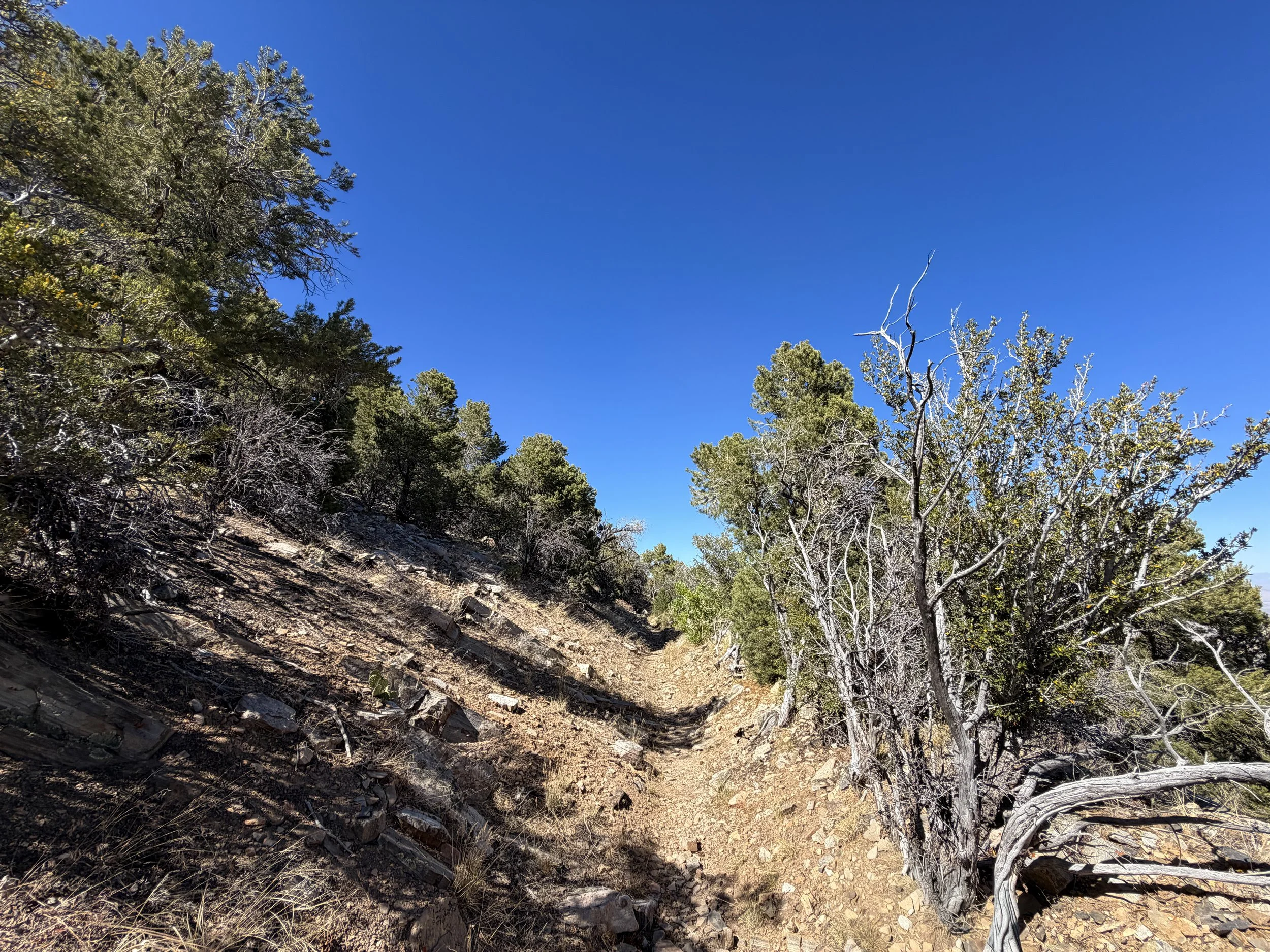 Osceola Ditch Hike Great Basin National Park Nevada