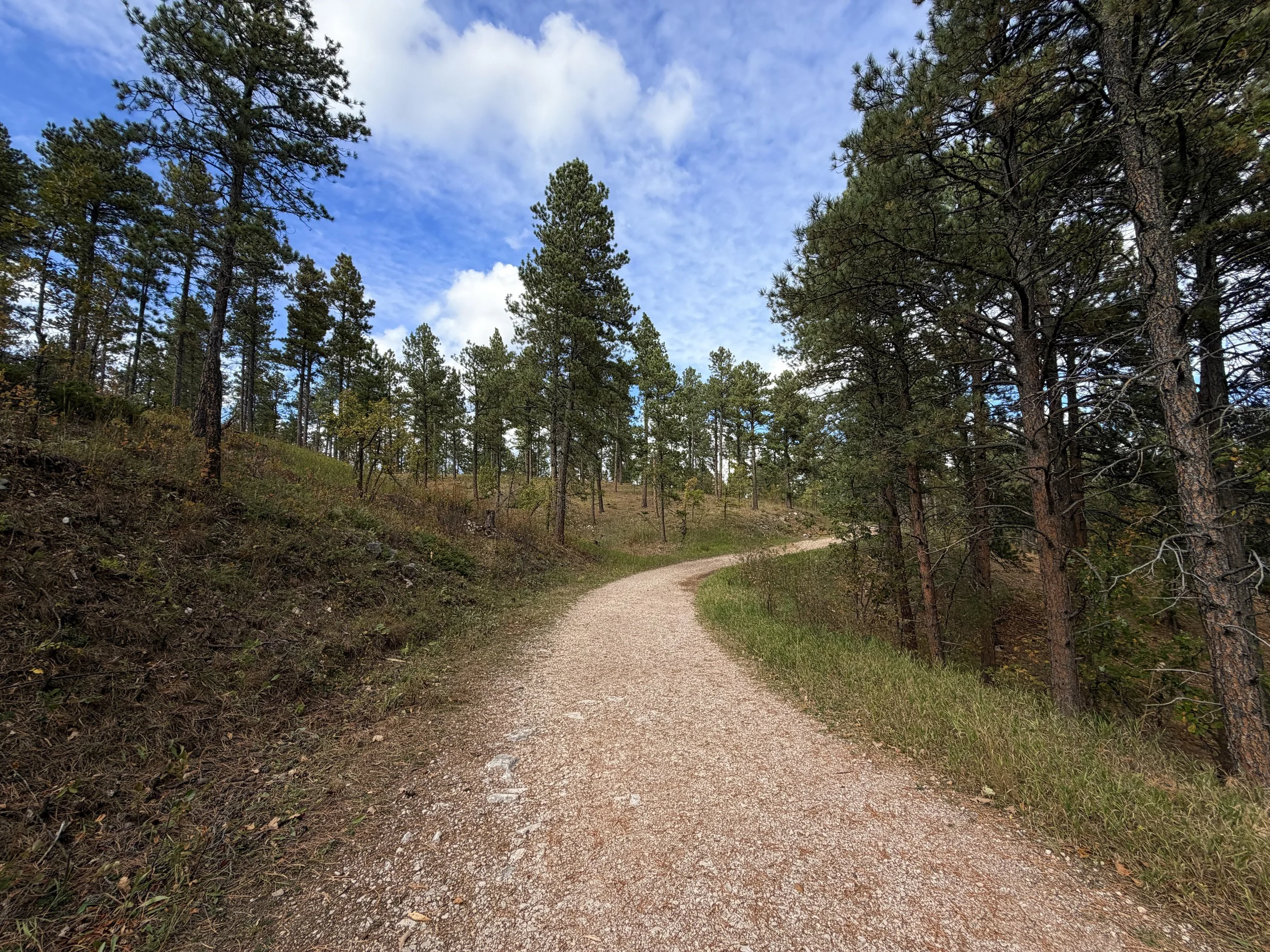 Stratobowl Rim Trail Black Hills South Dakota