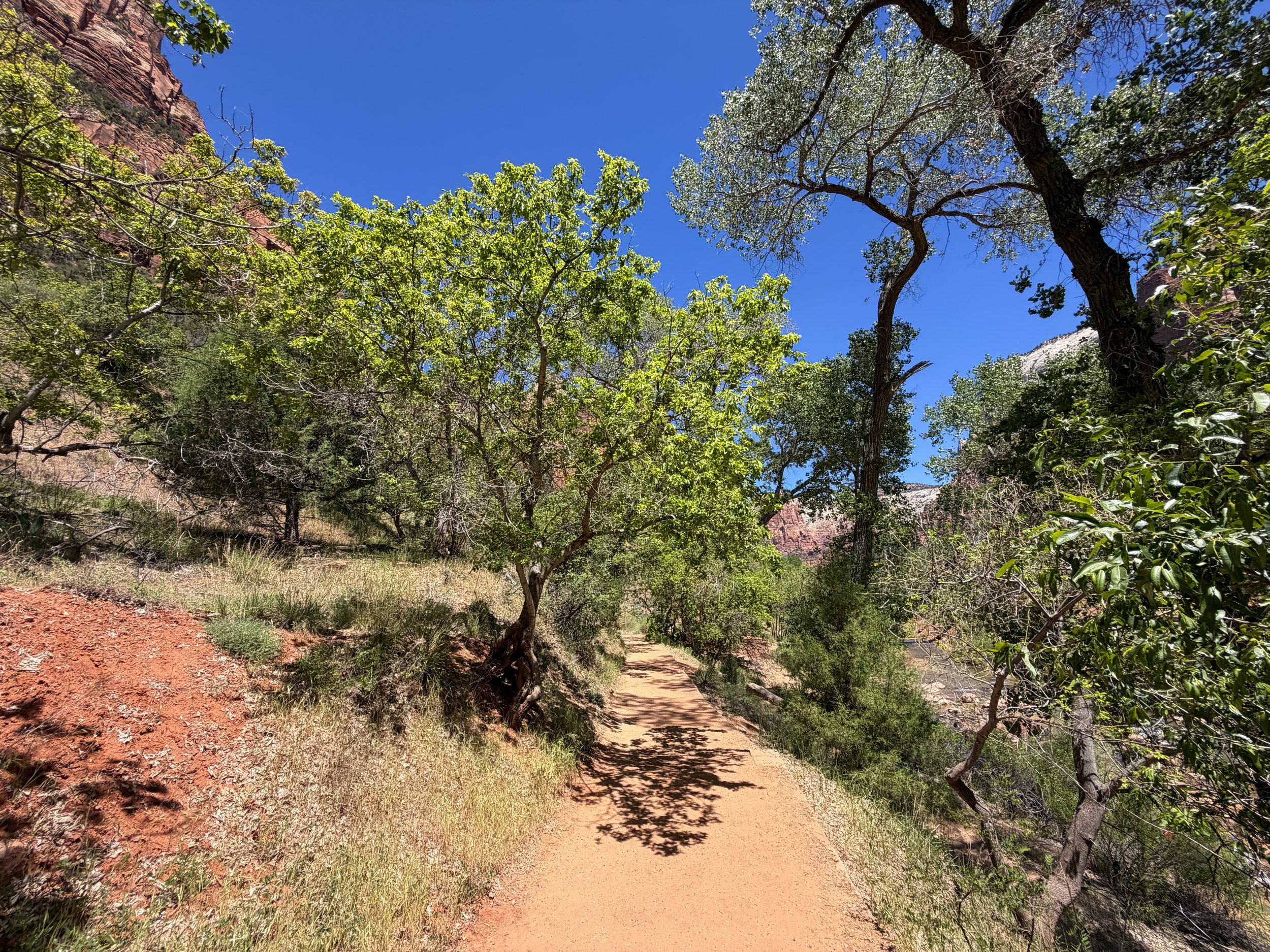 Emerald Pools Loop Trail Zion National Park Utah
