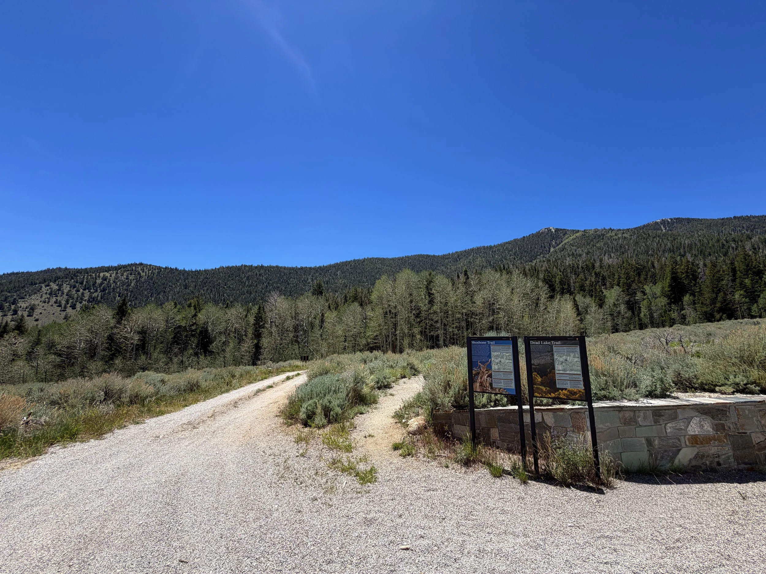 Dead Lake Trailhead Great Basin National Park Nevada
