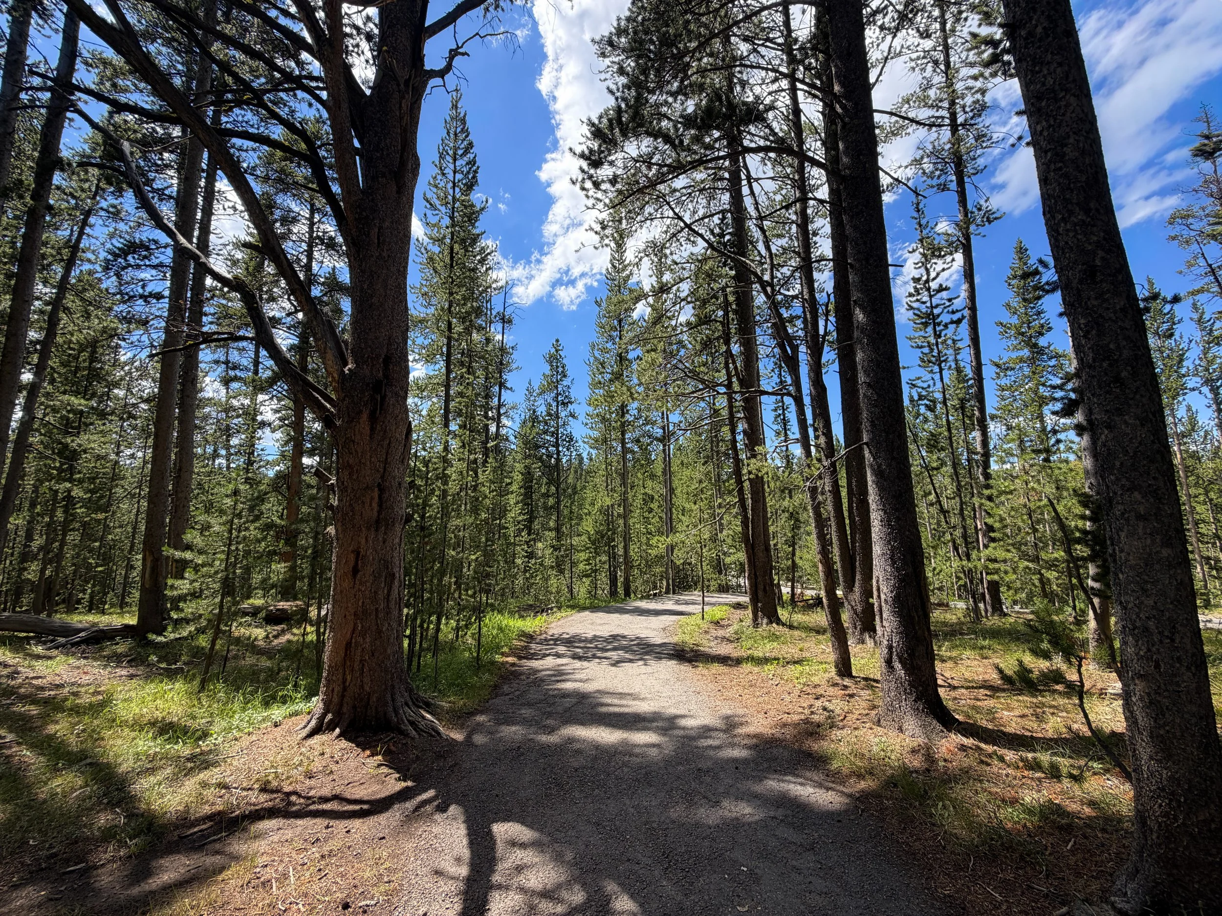 North Rim Trail Yellowstone National Park Wyoming