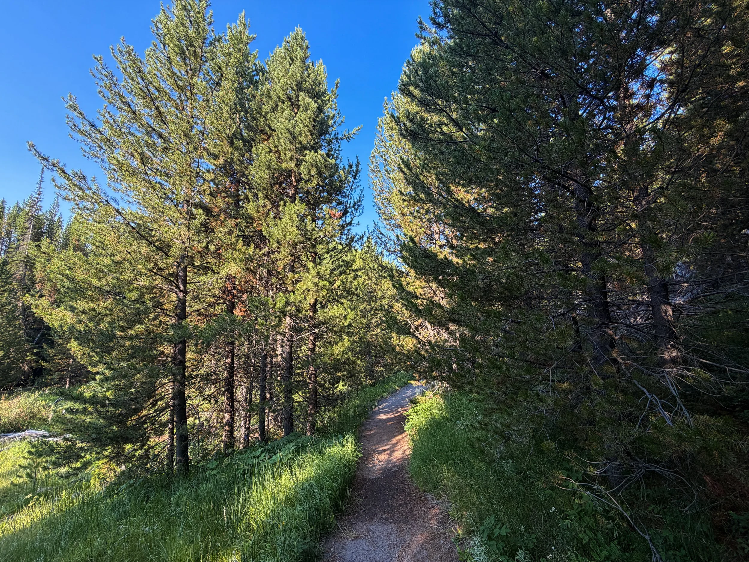 Mystic Falls Loop Trail Yellowstone National Park Wyoming
