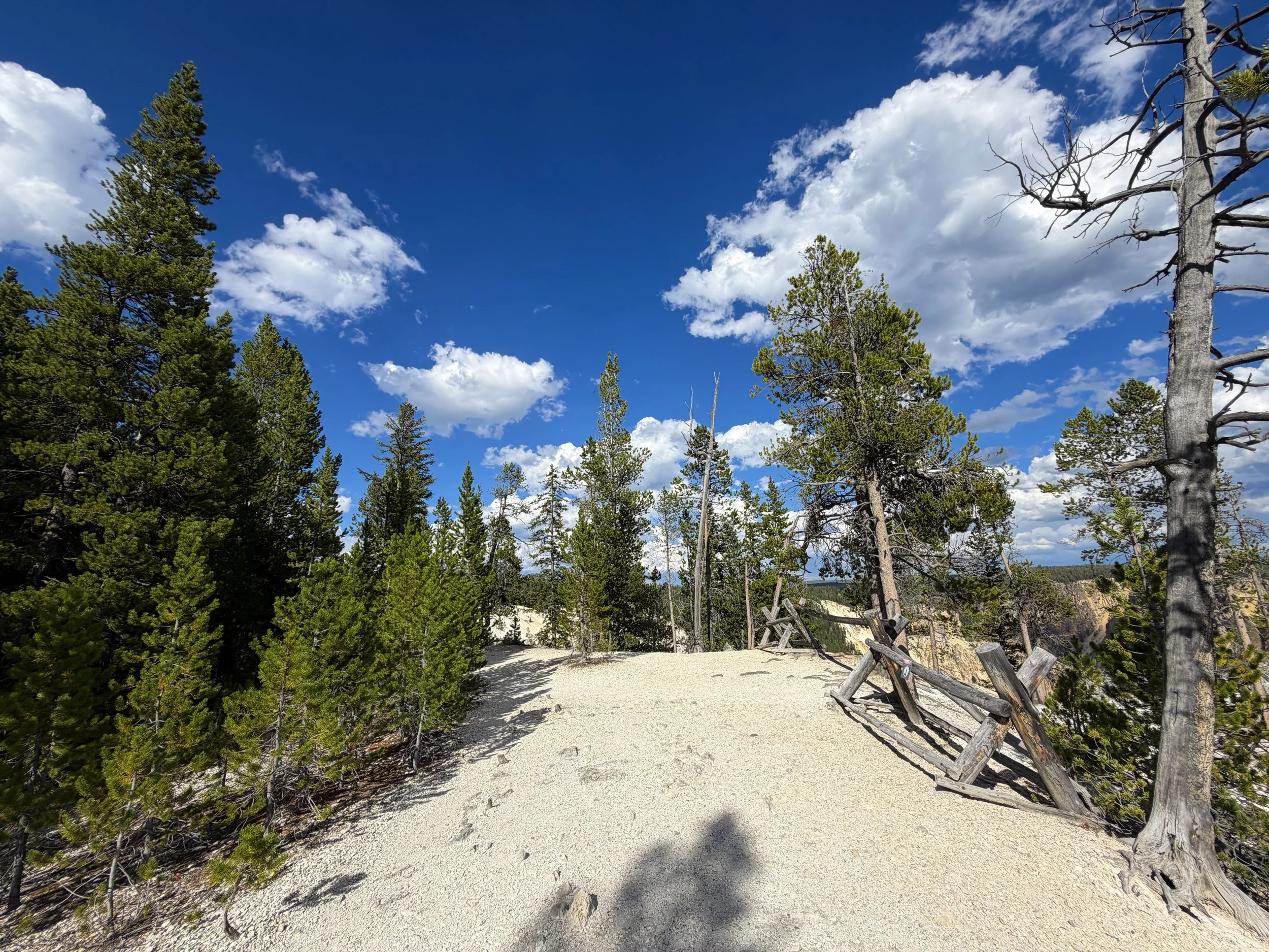 North Rim Trail Yellowstone National Park Wyoming