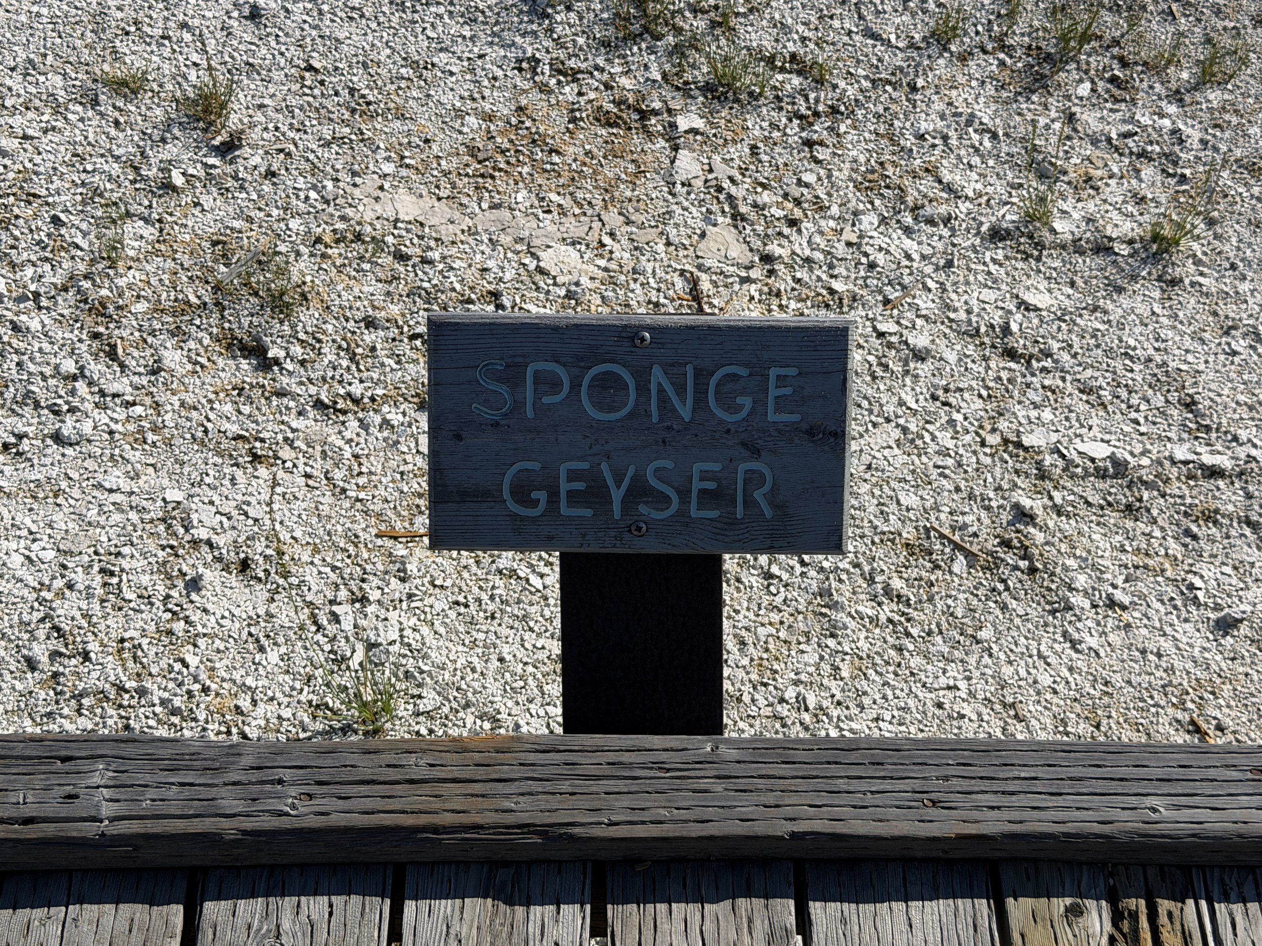 Sponge Geyser Yellowstone National Park Wyoming