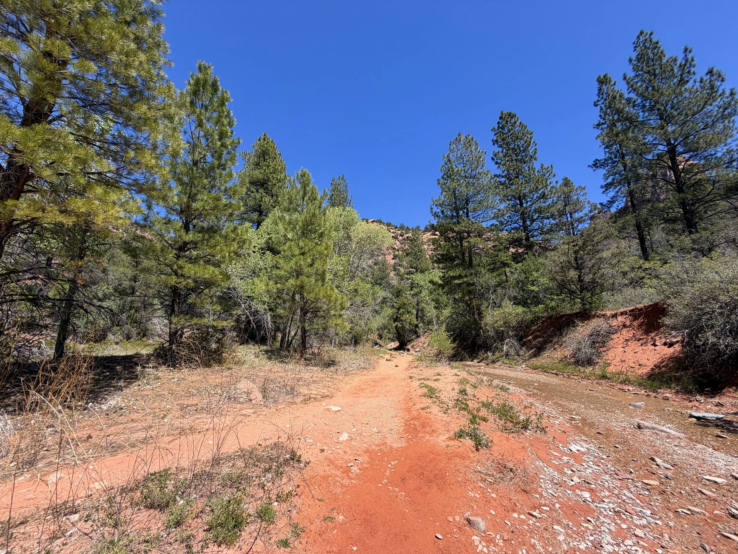 Middle Taylor Creek Trail Zion National Park Utah