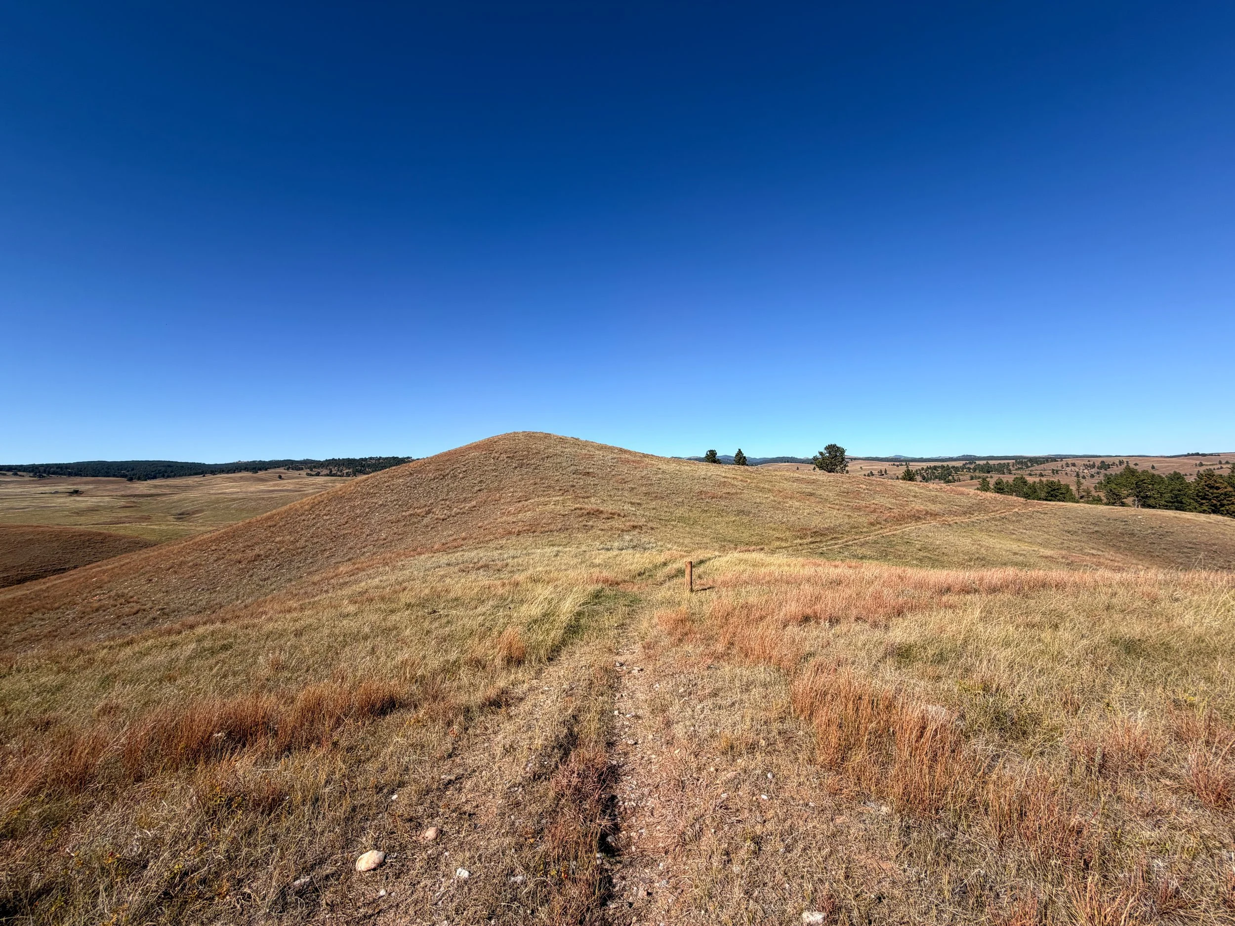 East Bison Flats Trail Wind Cave National Park South Dakota
