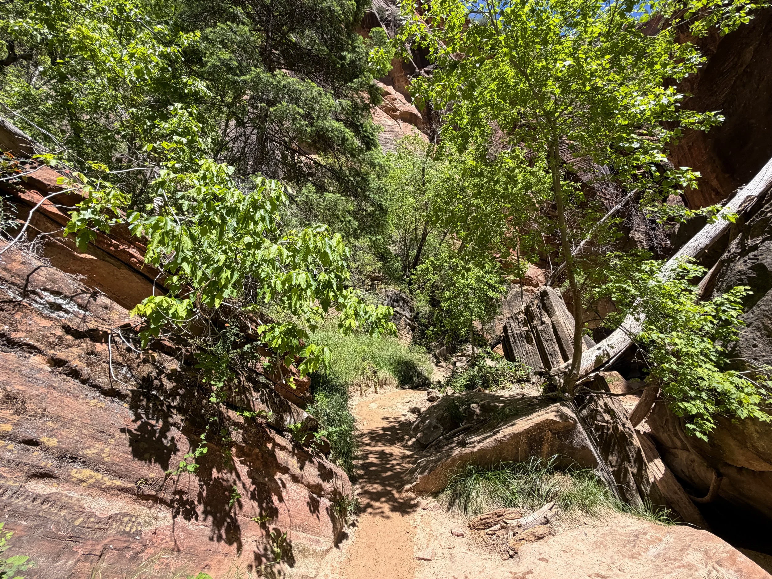 House Rock Narrows Zion National Park Utah