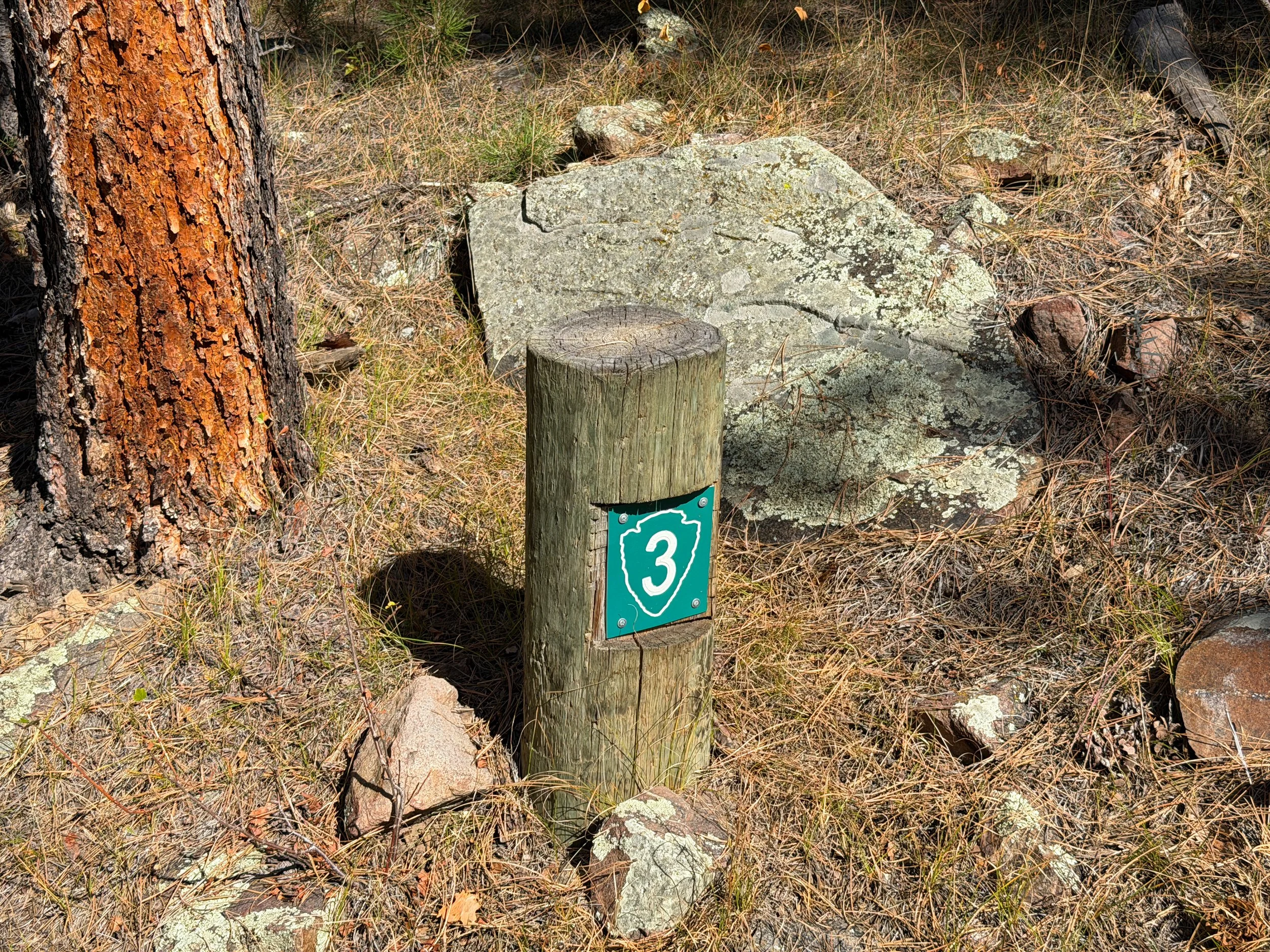 Rankin Ridge Trail Wind Cave National Park South Dakota