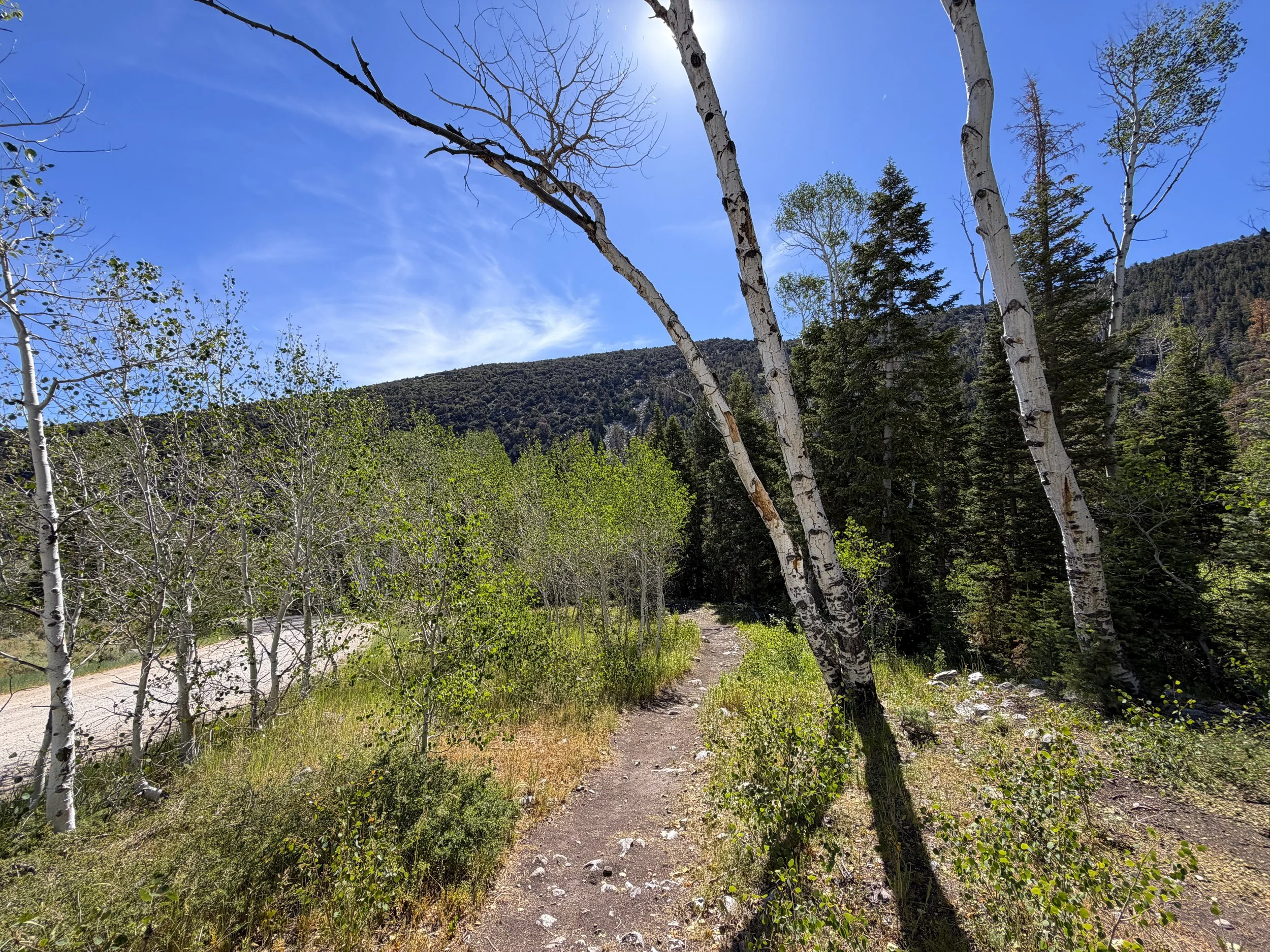 Pole Canyon Trail Great Basin National Park Nevada