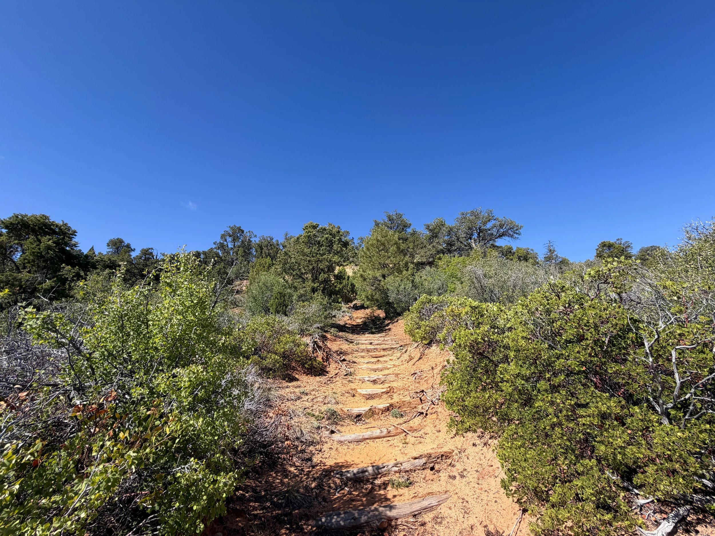 Deertrap Mountain Trail Zion National Park Utah