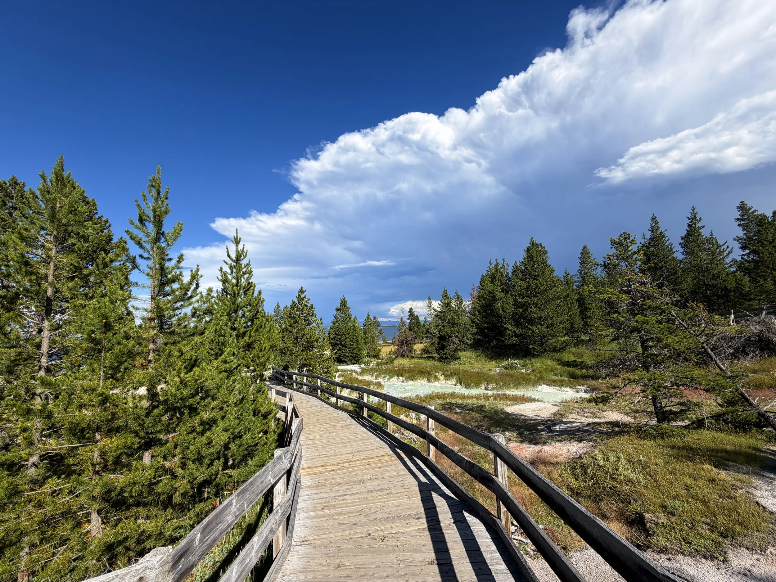 West Thumb Geyser Basin Trail Yellowstone National Park Wyoming