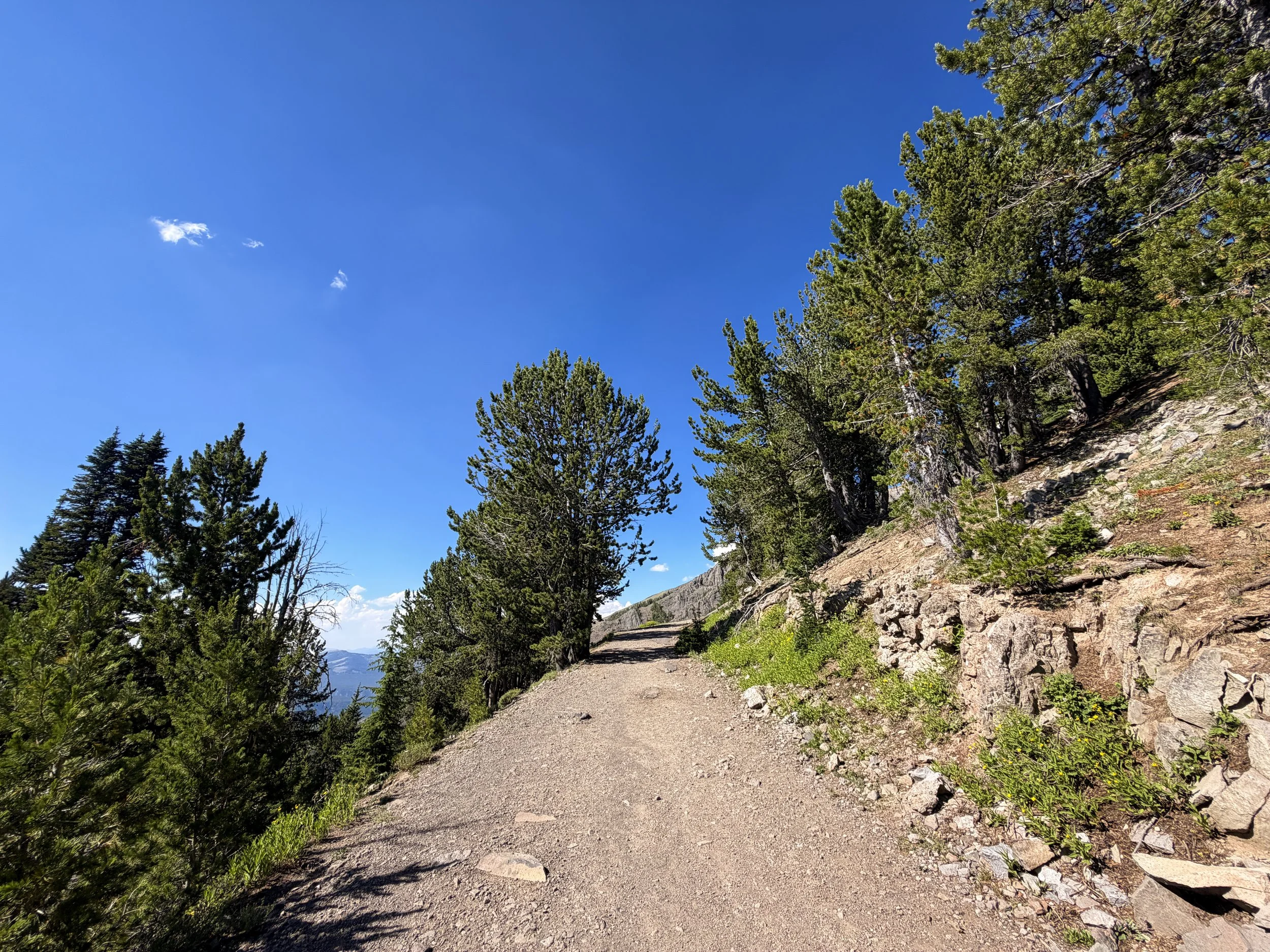 South Mt. Washburn Trail Yellowstone National Park Wyoming