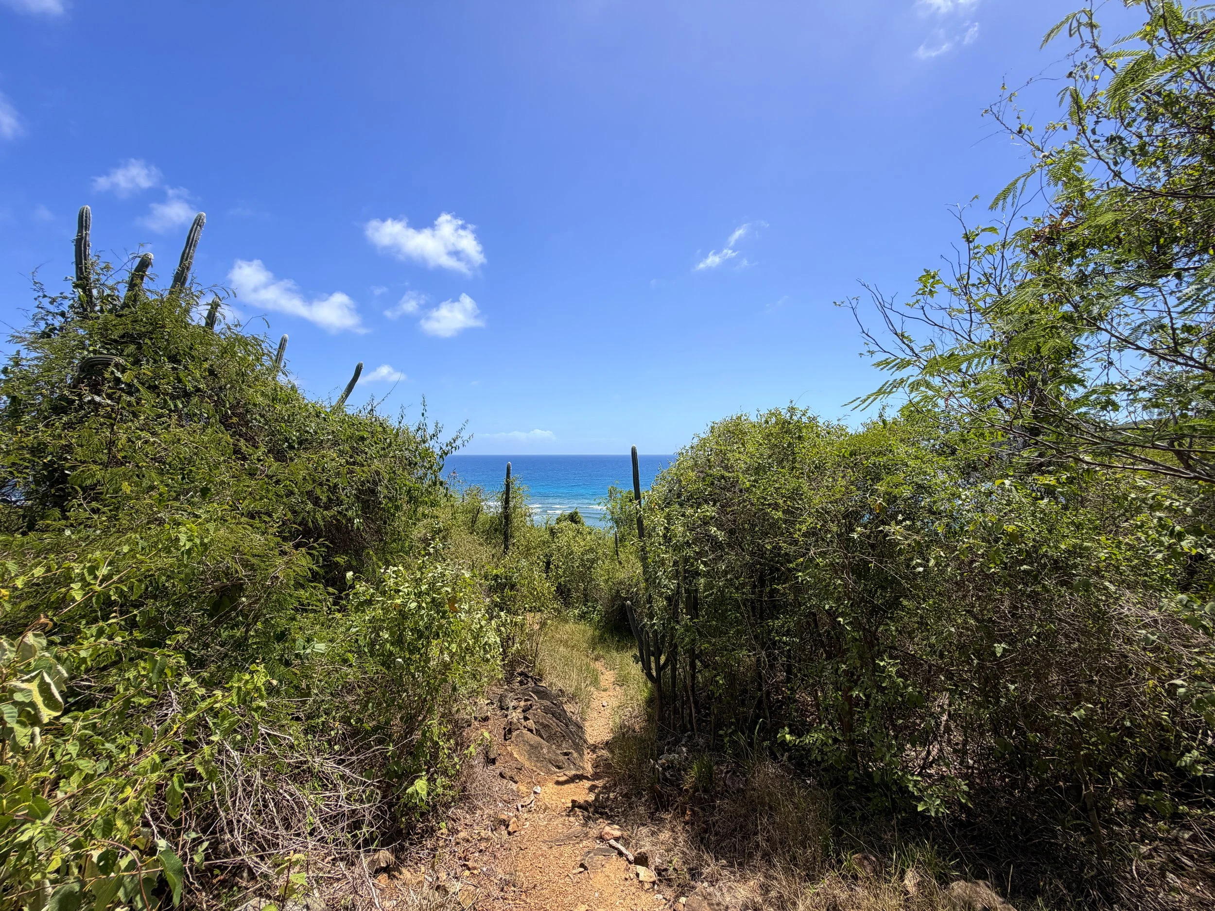L'Esperance Trail Virgin Islands National Park