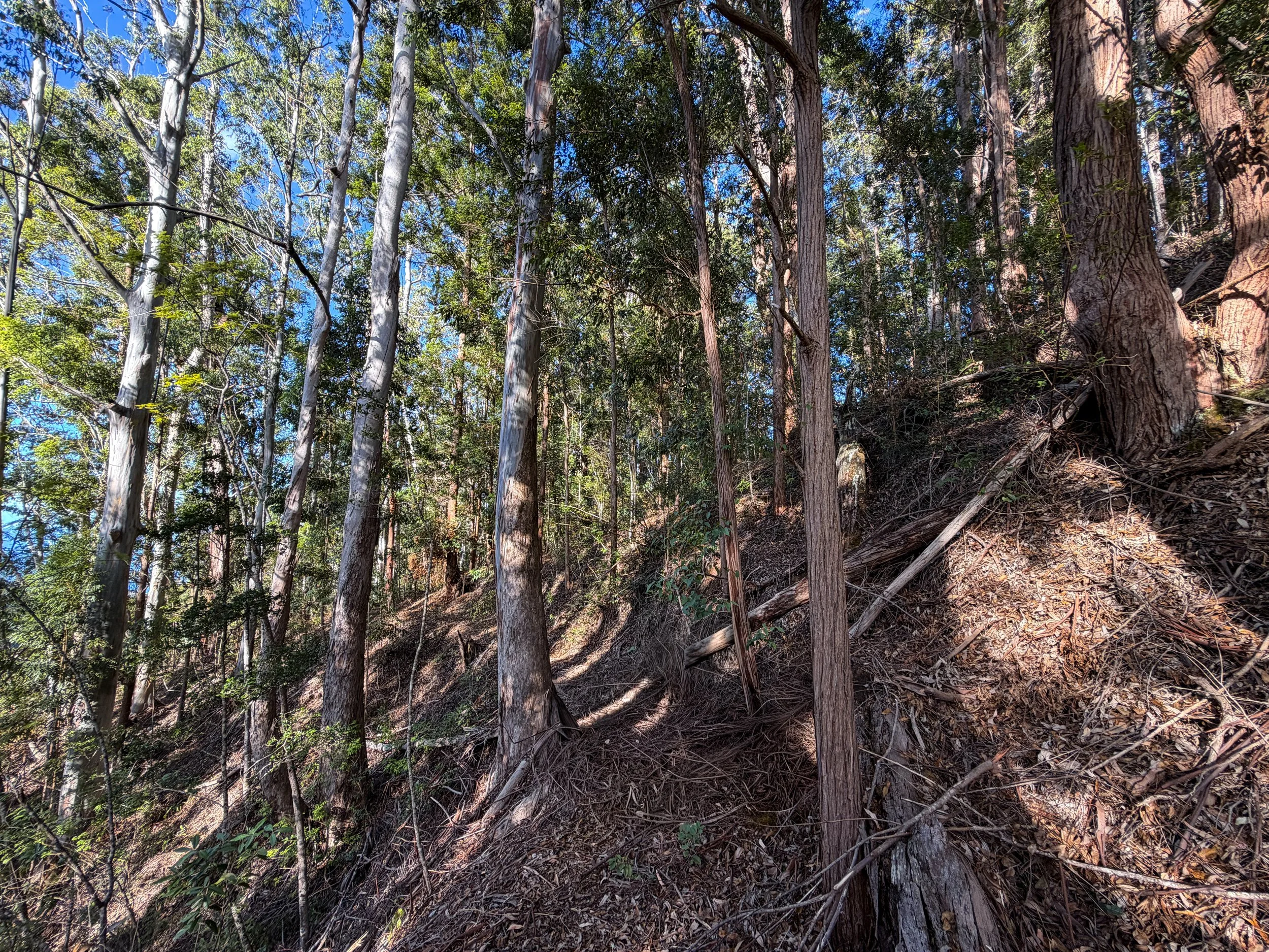 Mokuleia Trail Oahu Hawaii