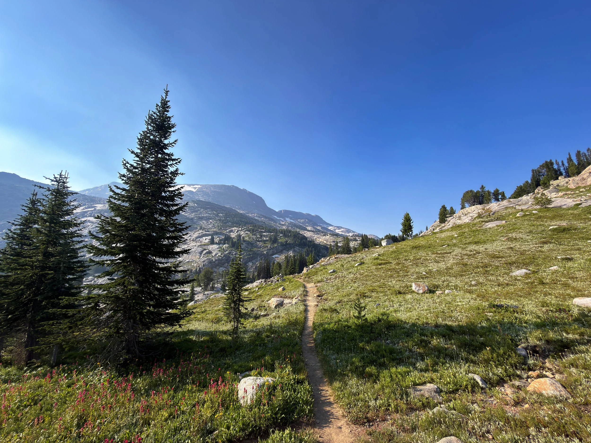 Beaten Path Hike Beartooth Mountains Montana