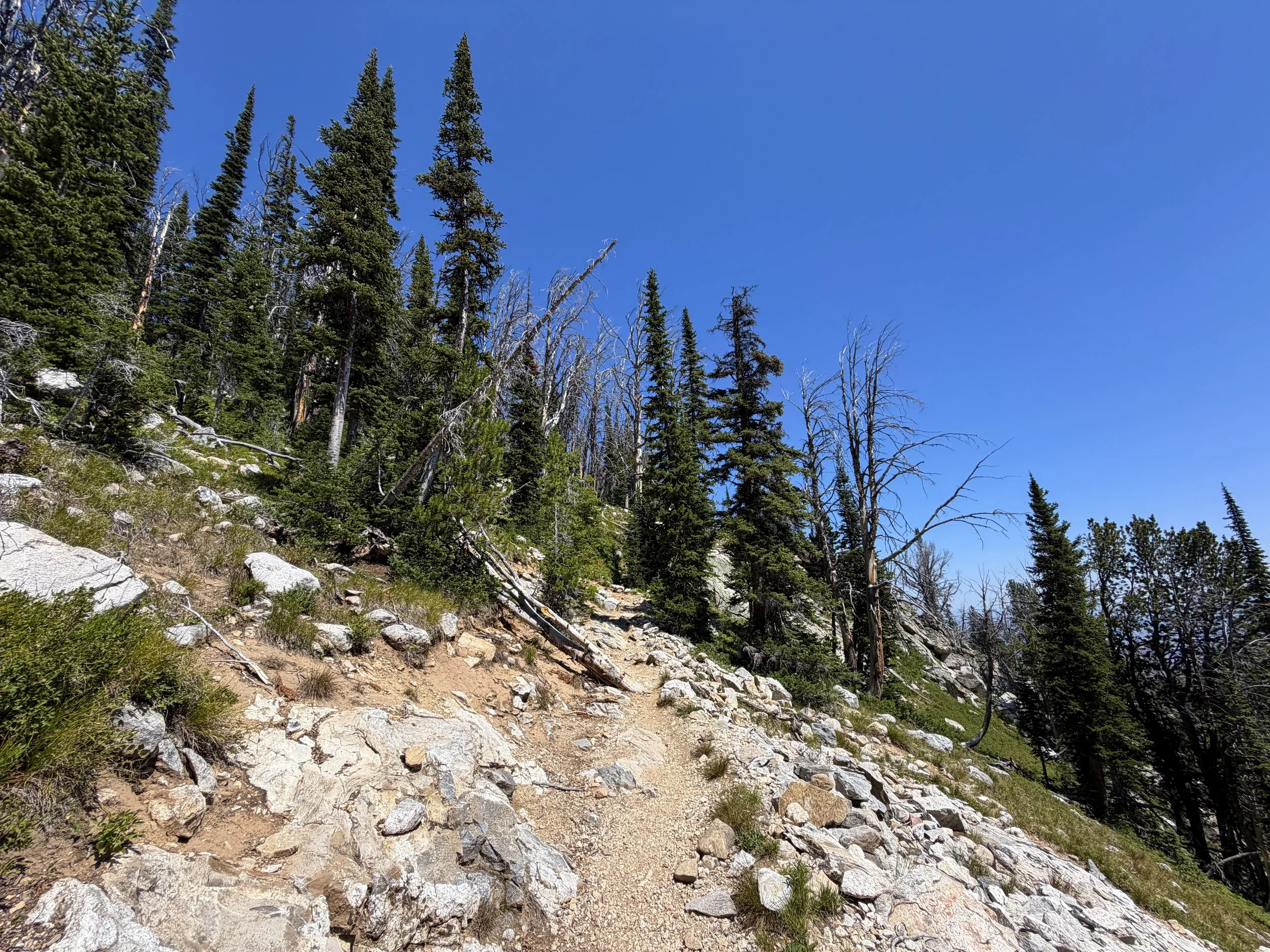 Surprise and Amphitheater Lakes Hike Grand Teton National Park Wyoming