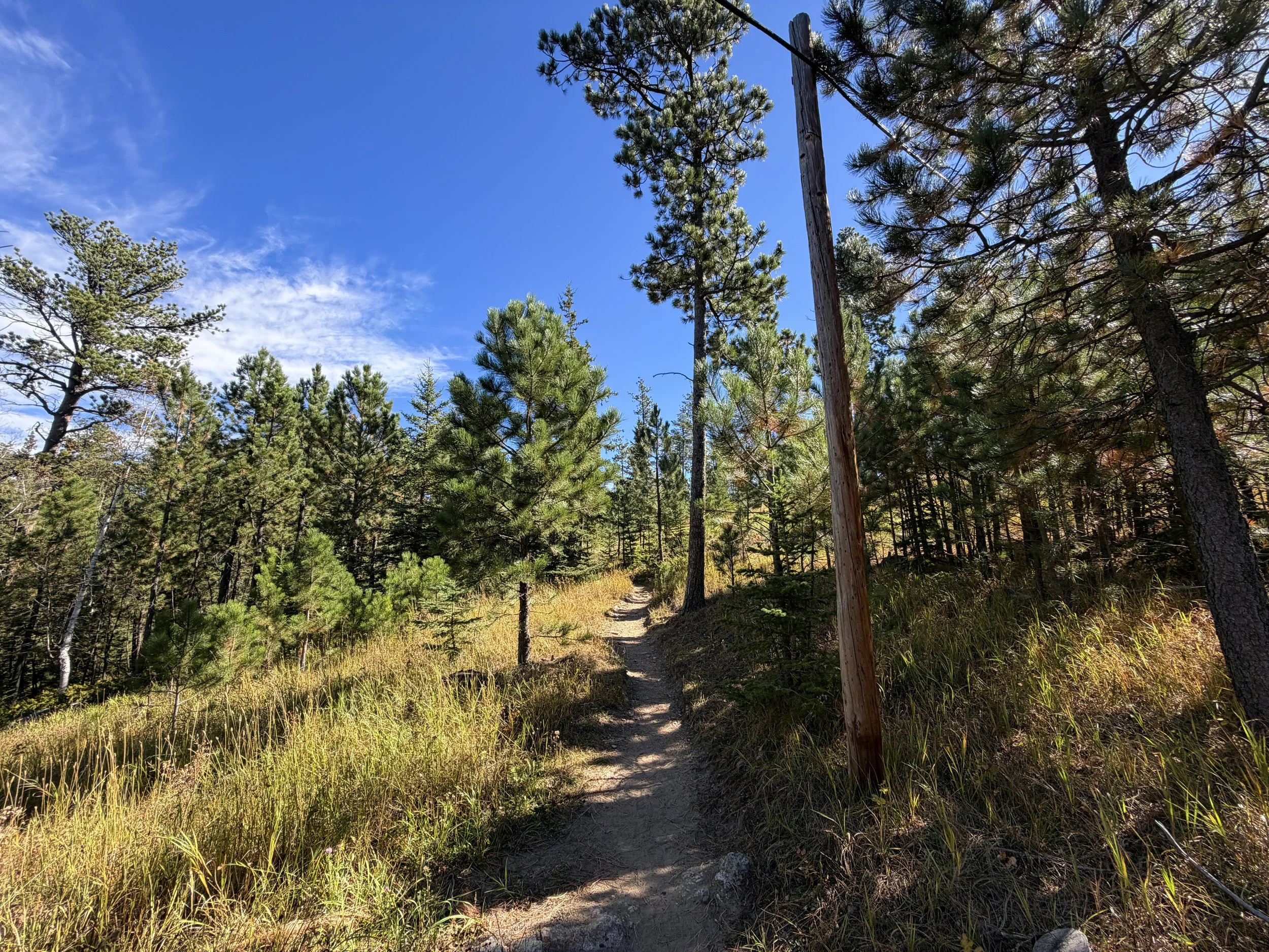 Sunday Gulch Trail Custer State Park Black Hills South Dakota
