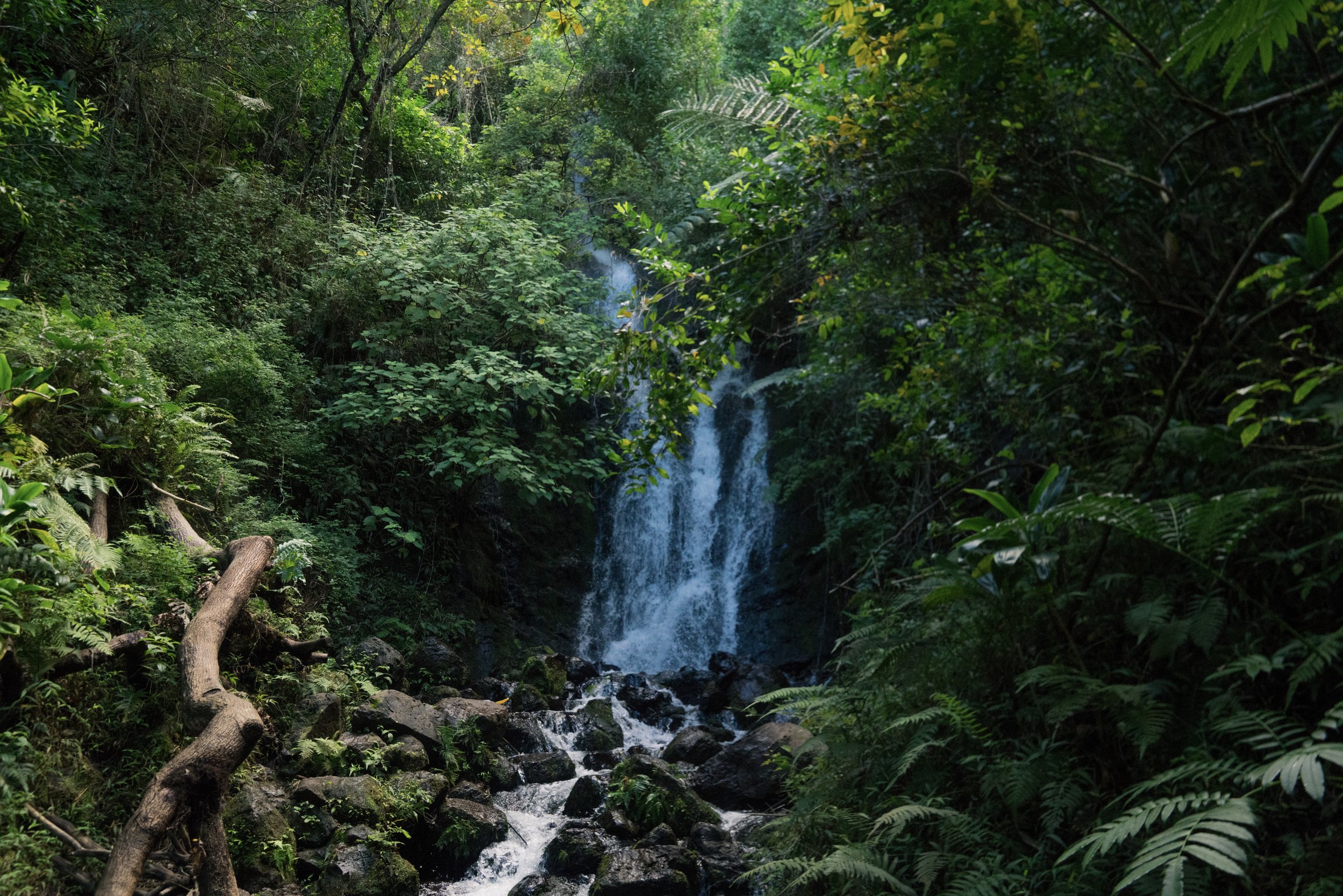 Waihee Falls Oahu Hawaii