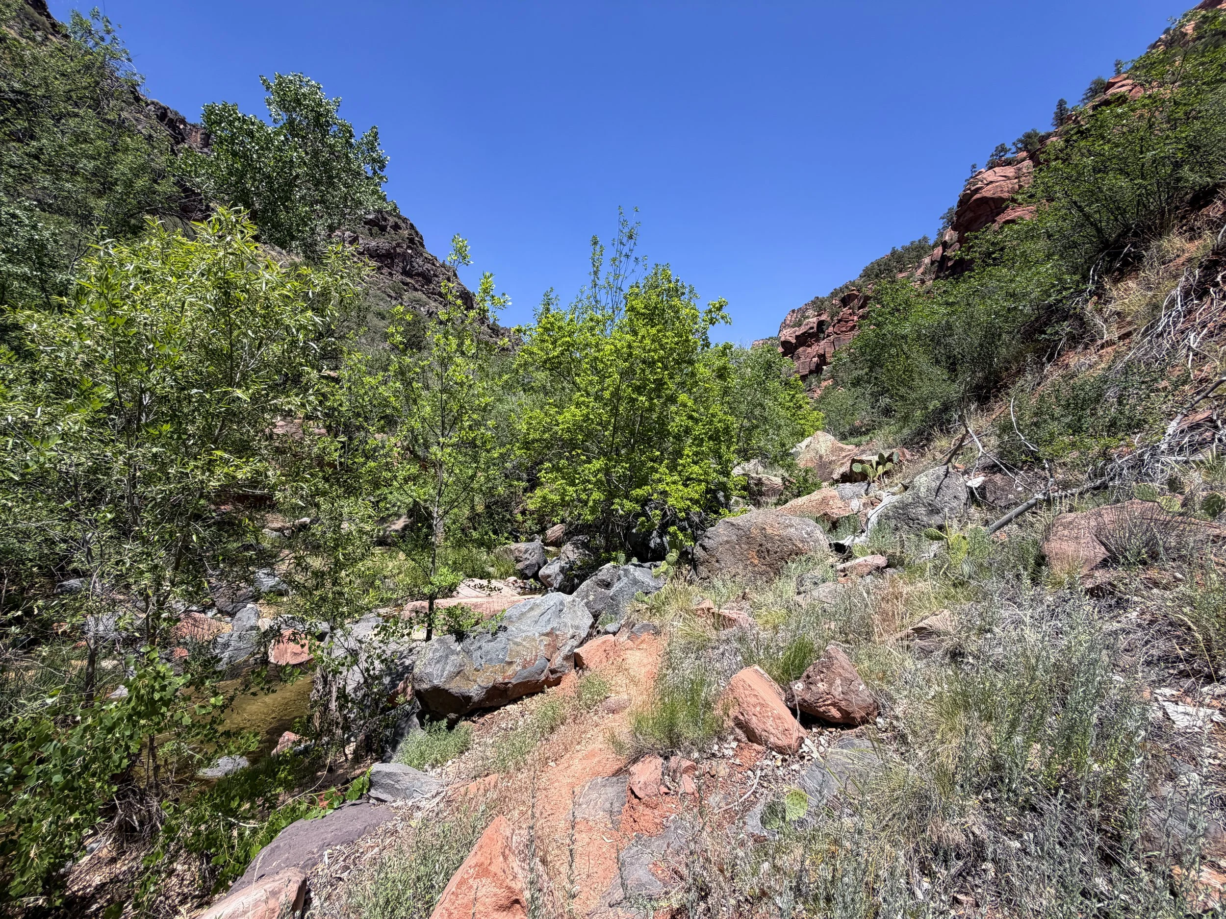Grapevine Trail to Left Fork Falls Zion National Park Utah