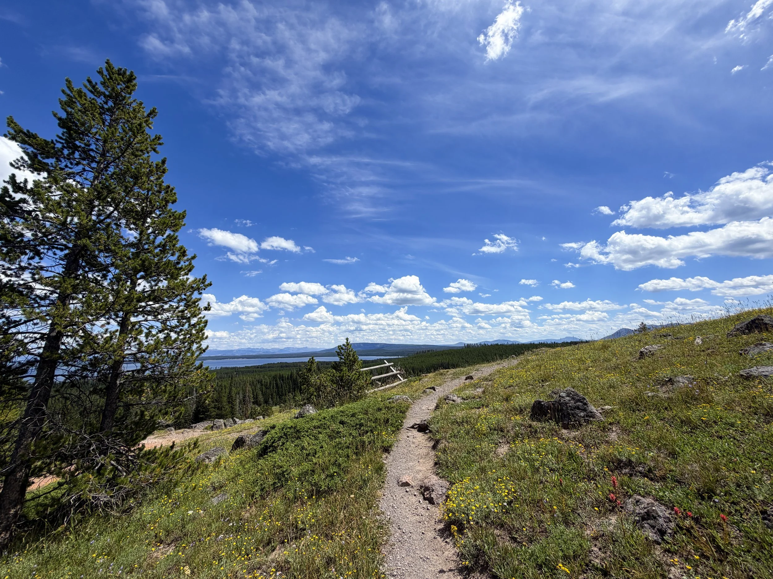 Yellowstone Lake Overlook Yellowstone National Park Wyoming