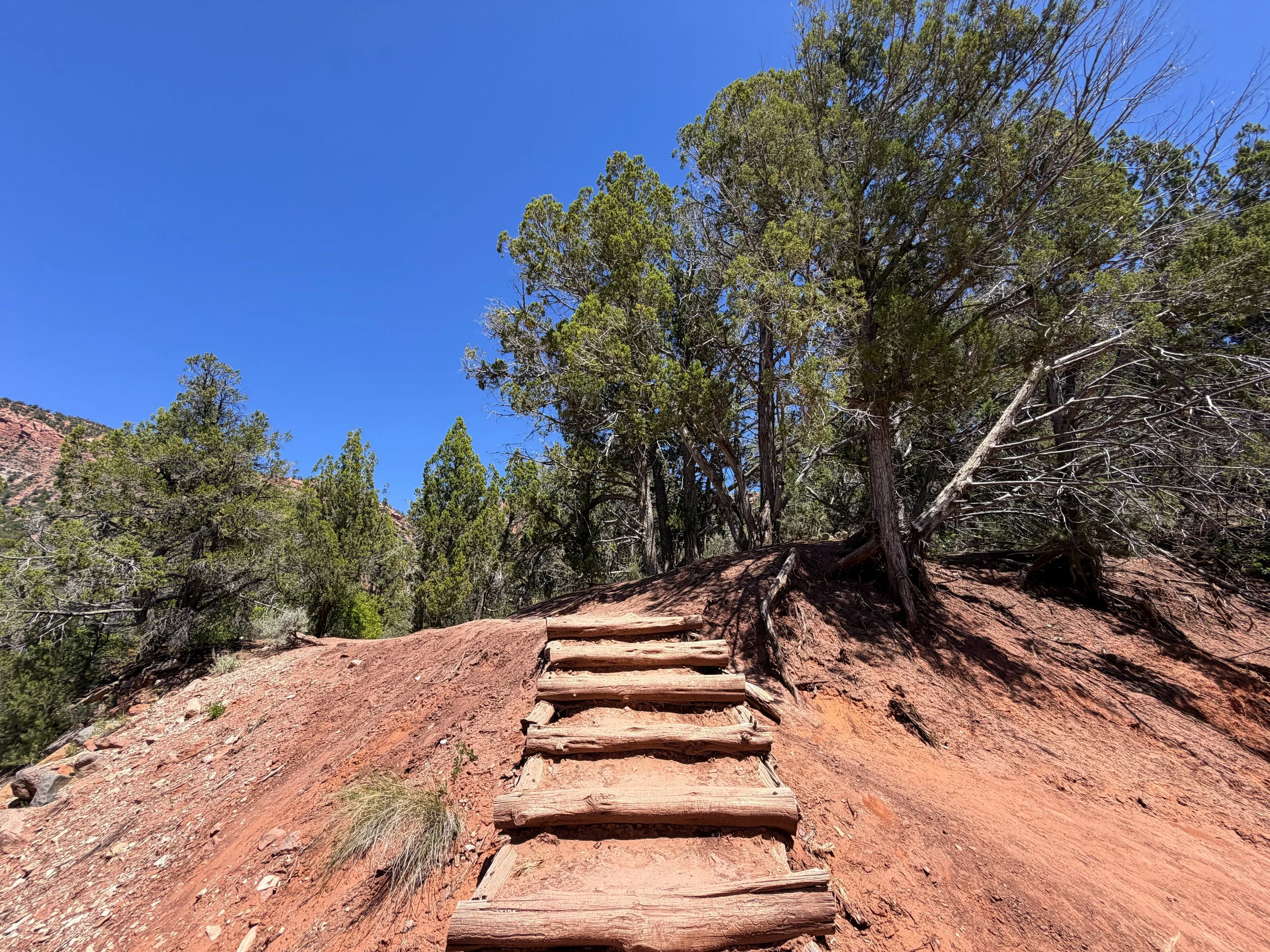 Taylor Creek Trail Zion National Park Utah