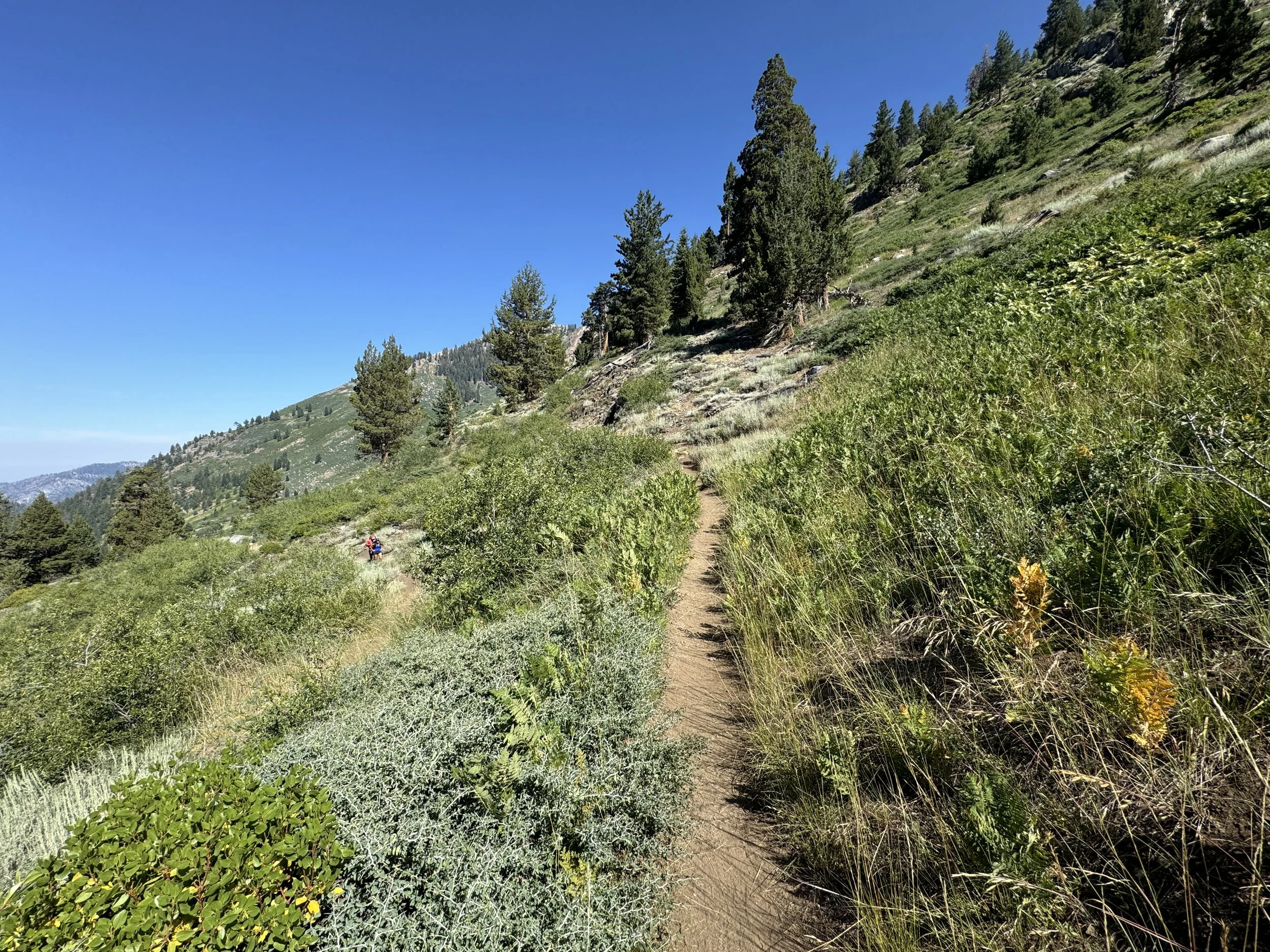 Hiking the Mineral King Loop Trail in Sequoia National Park — noahawaii