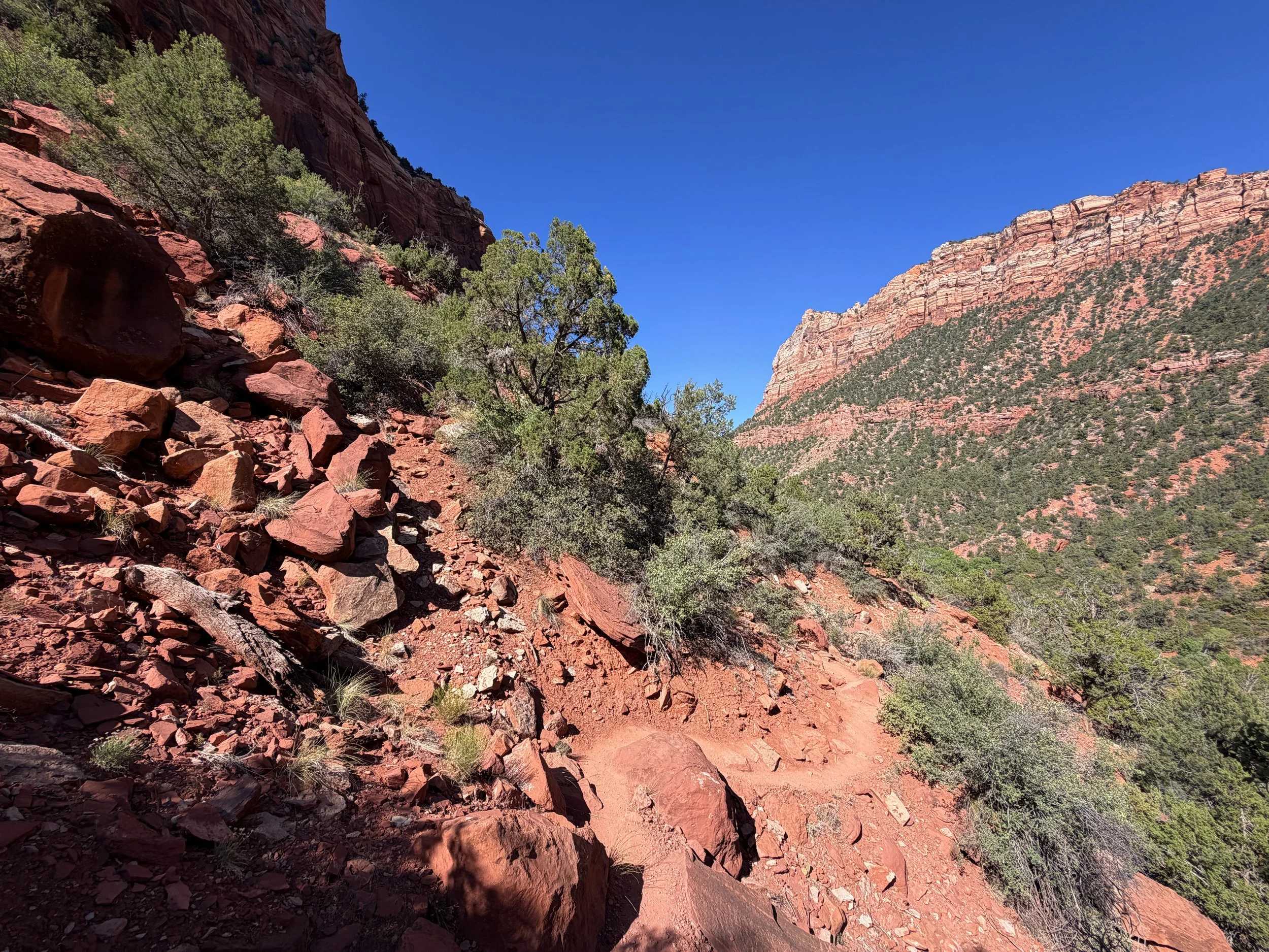 Subway Trail Left Fork North Creek Zion National Park Utah