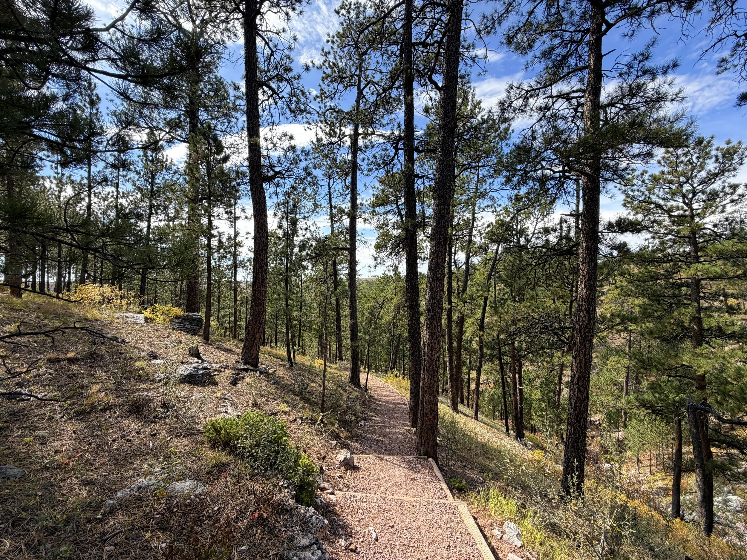 Canyons Trail Switchbacks Jewel Cave National Monument Black Hills South Dakota