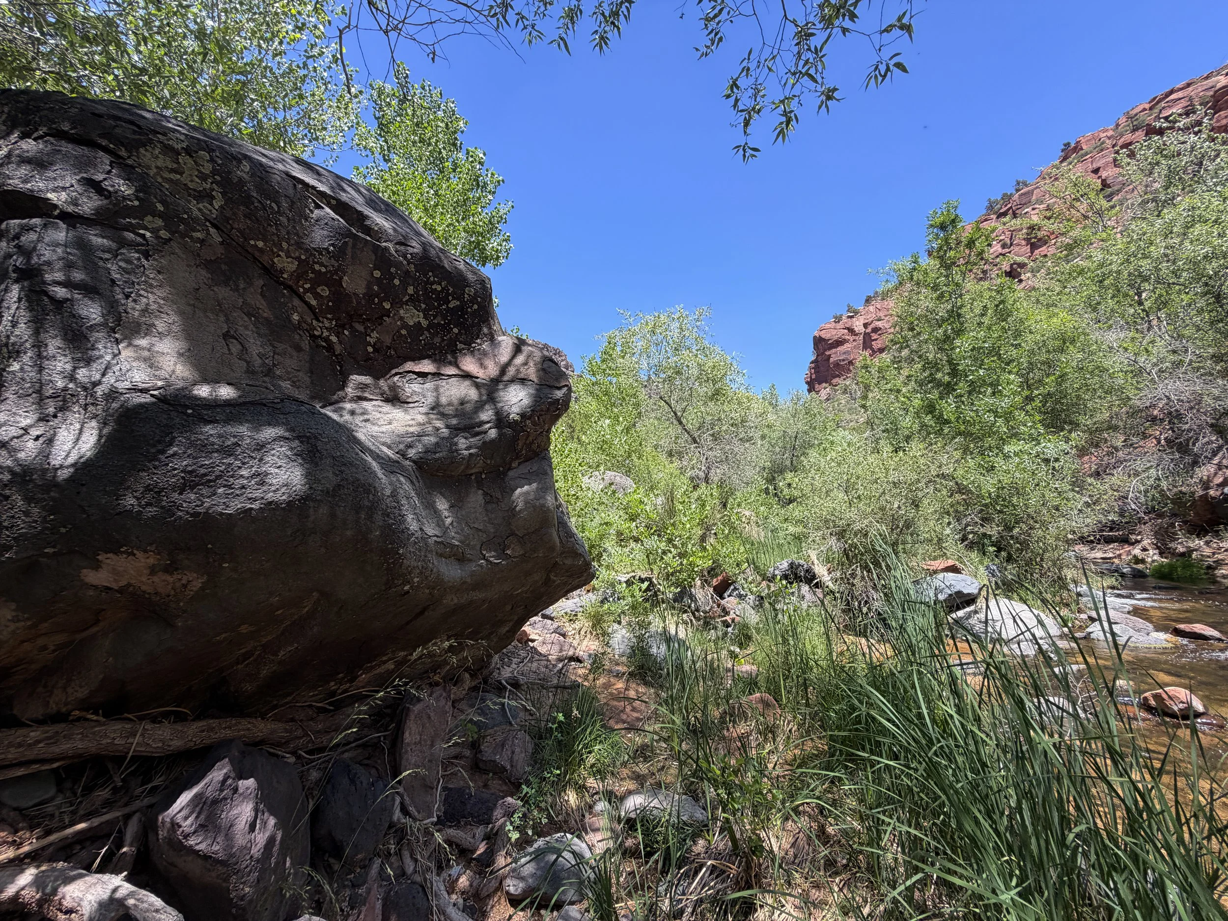Grapevine Hike to Left Fork Falls Zion National Park Utah