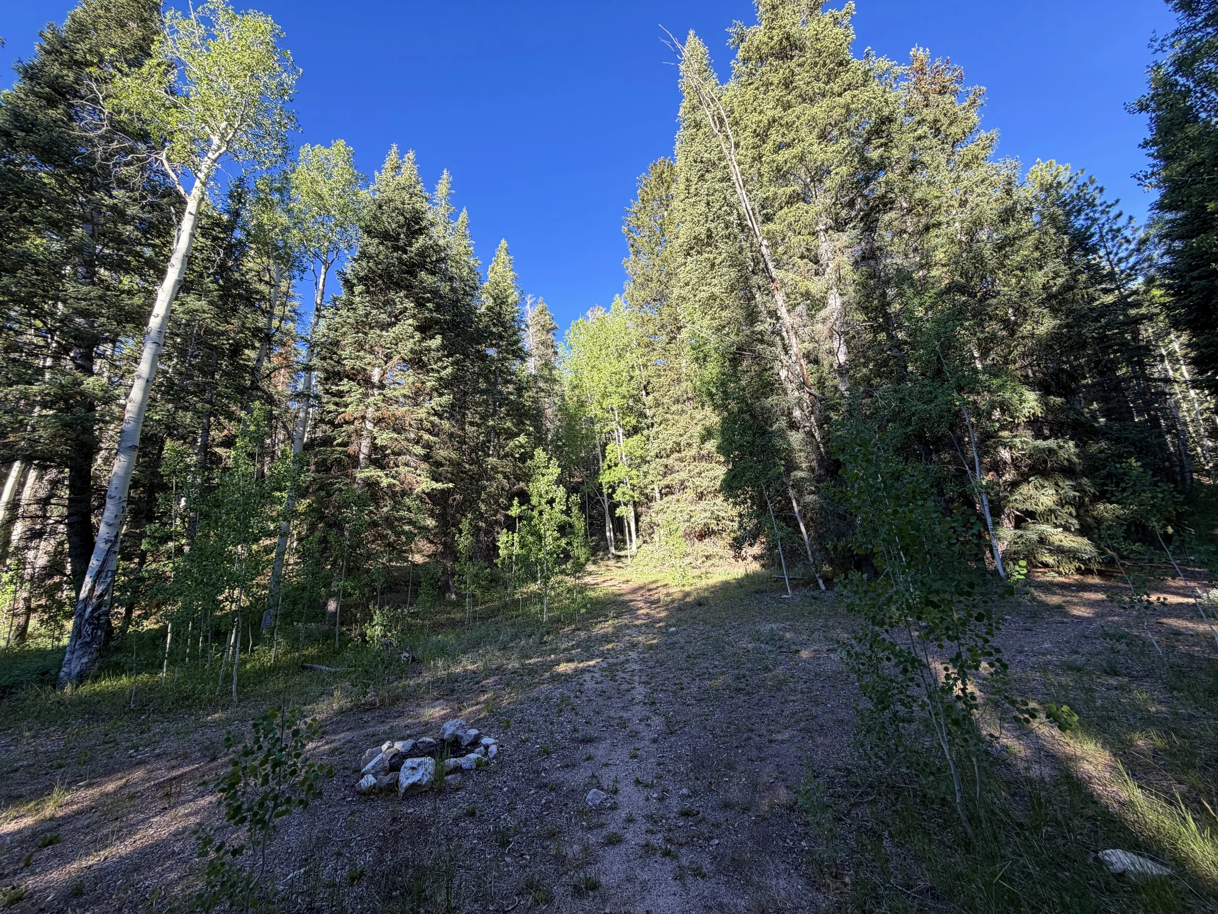 Snake Creek Overlook Trail Great Basin National Park Nevada