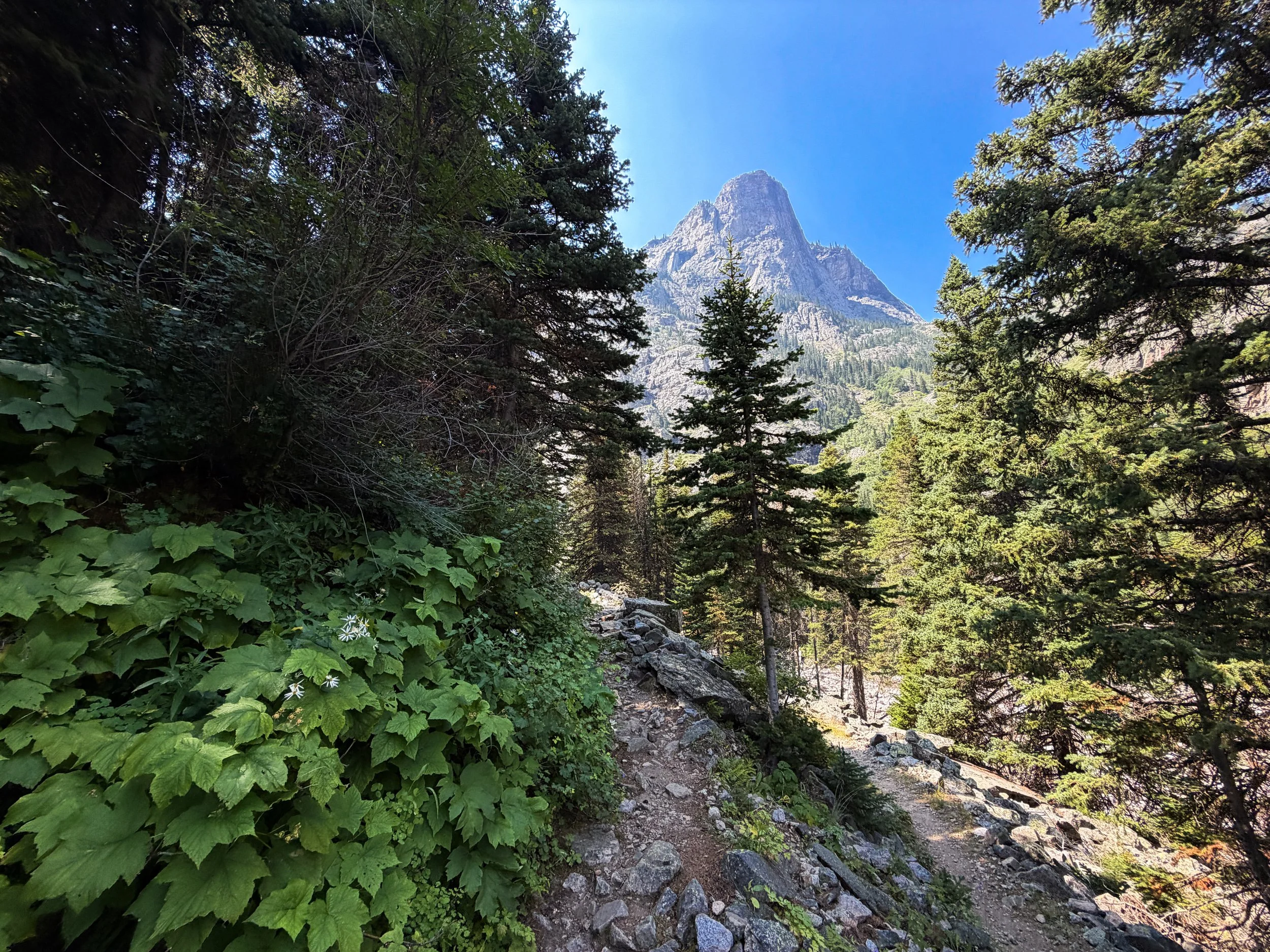 East Rosebud Trail Beaten Path Beartooth Mountains Montana