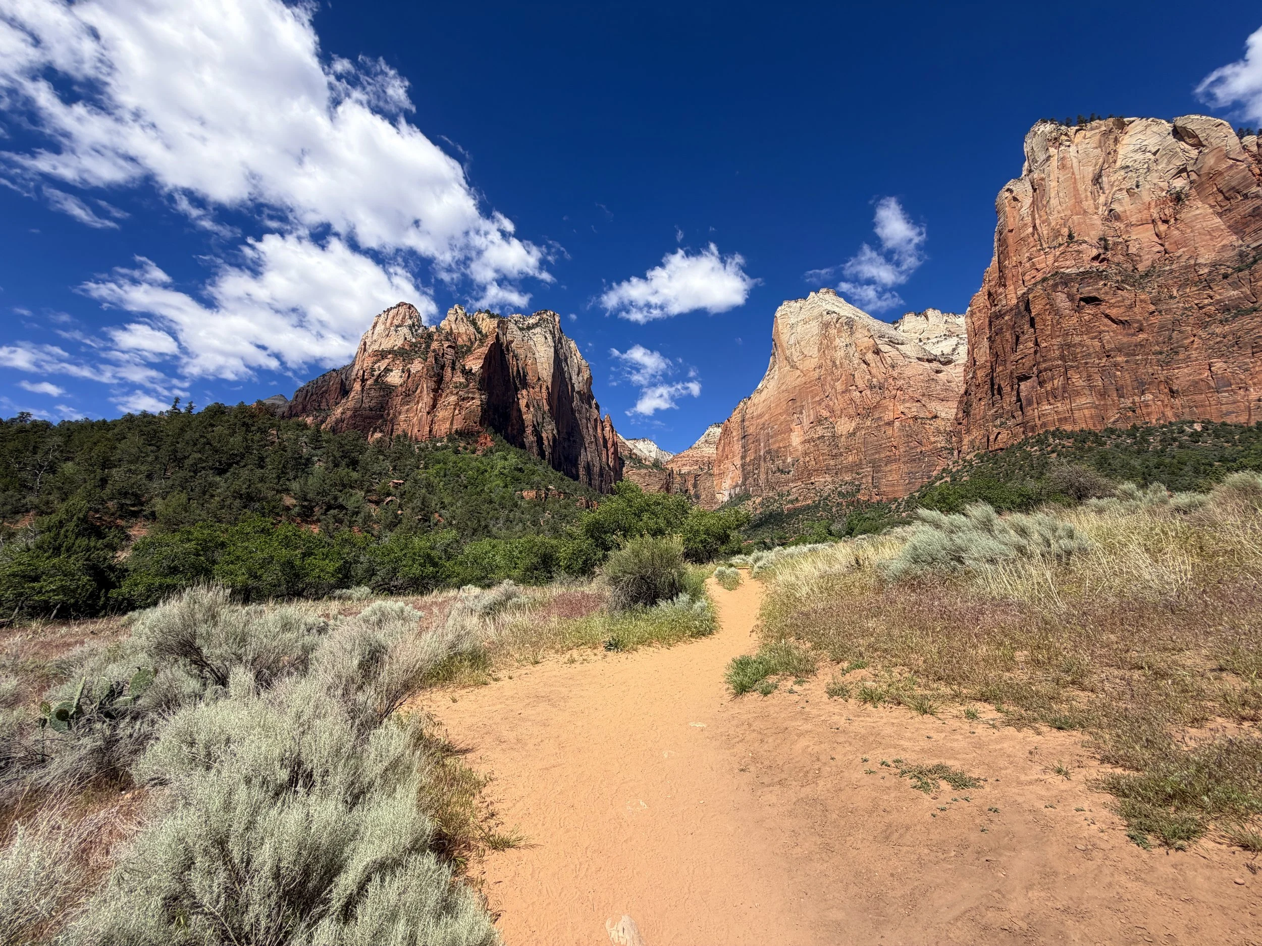 Sand Bench Trail Zion National Park Utah