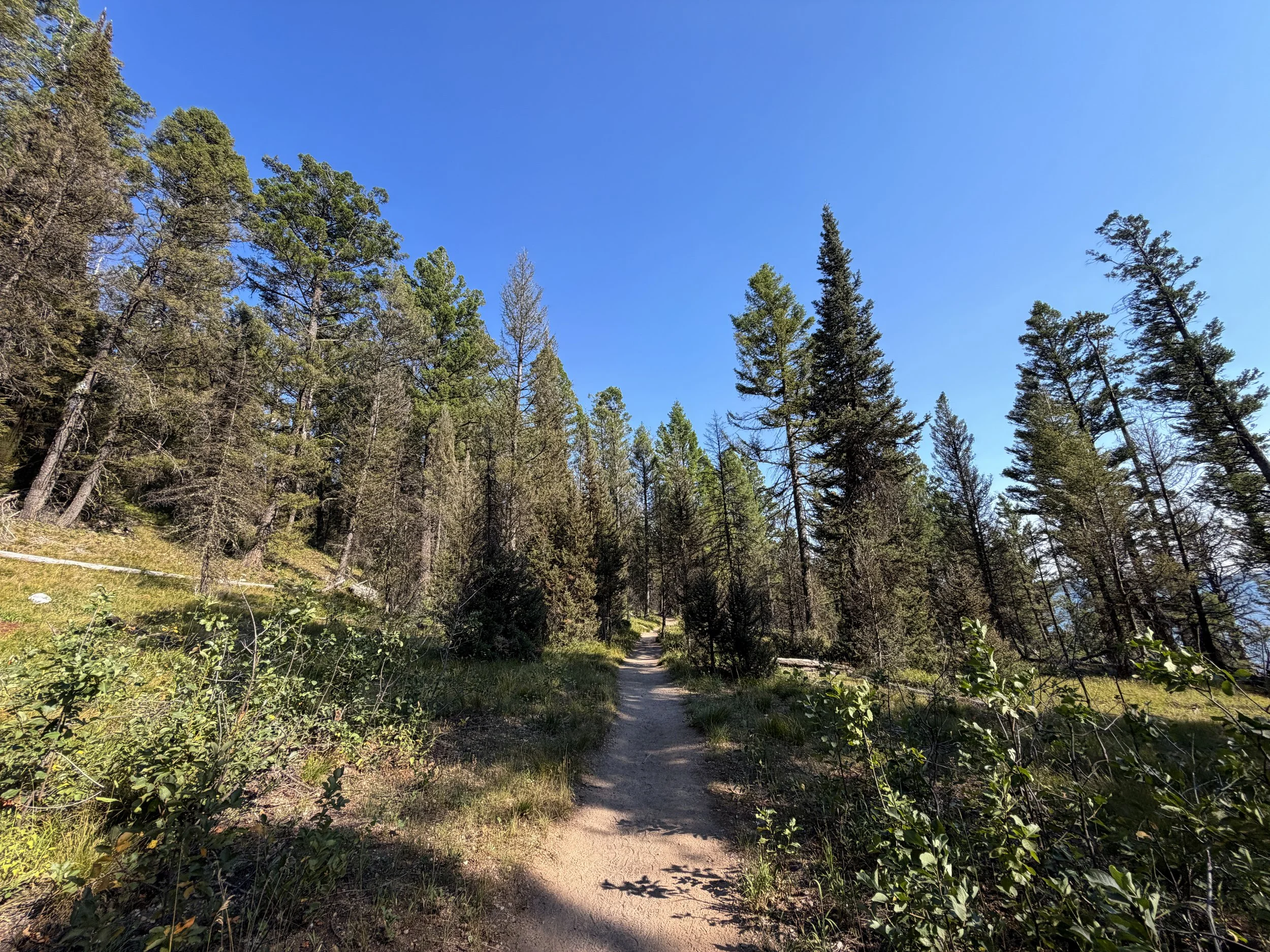 Jenny Lake Trail Grand Teton National Park Wyoming