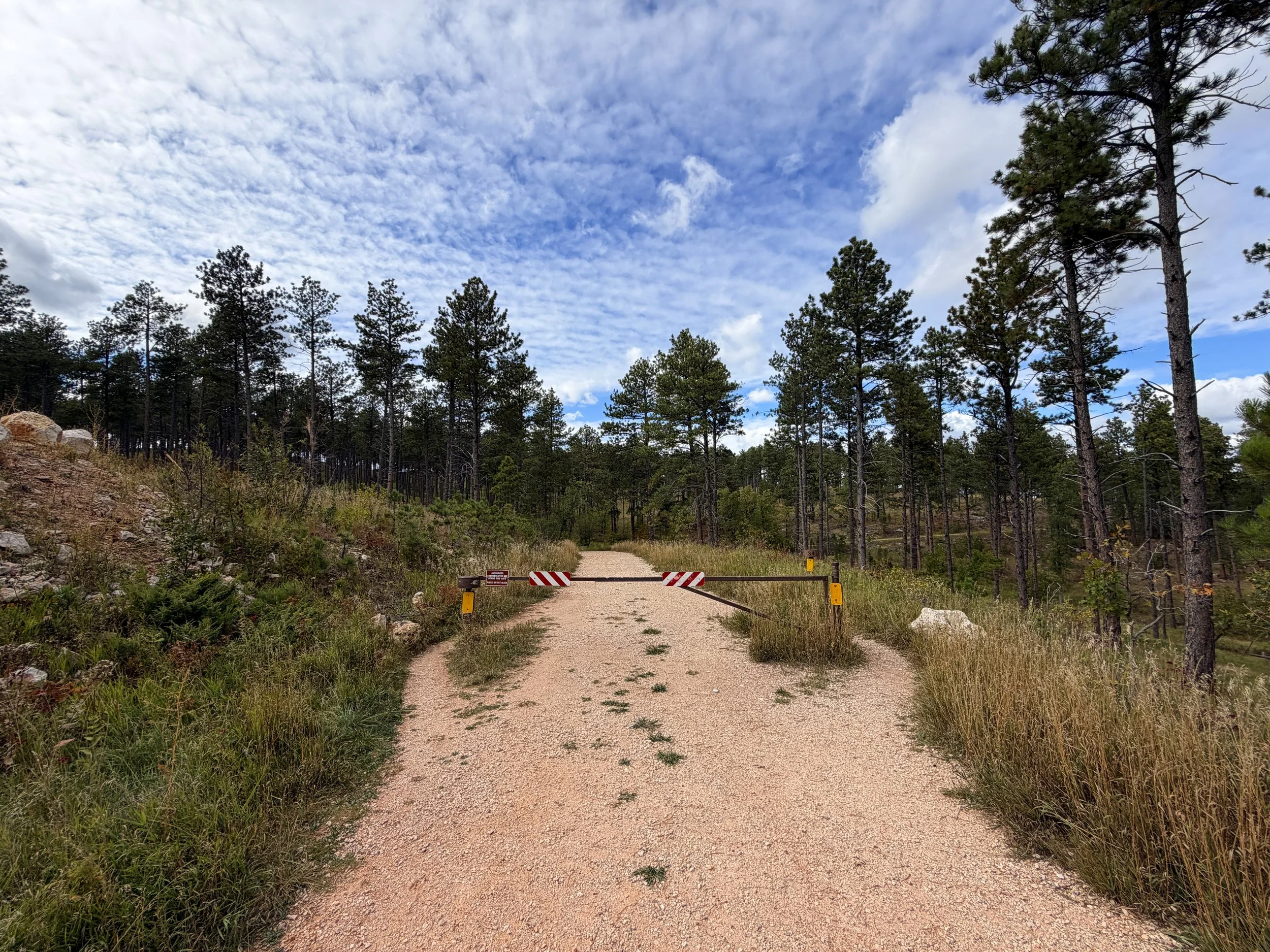 Stratobowl Rim Trailhead Black Hills South Dakota