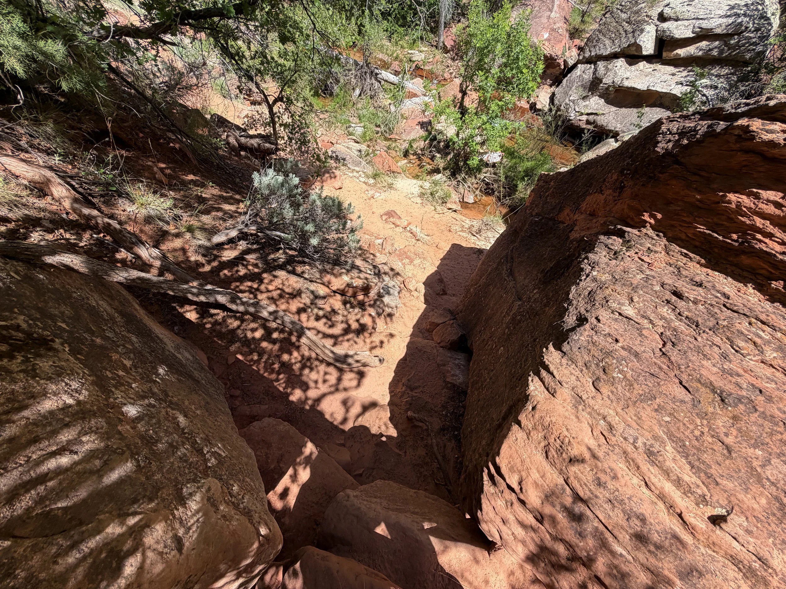Subway Trail Zion National Park Utah