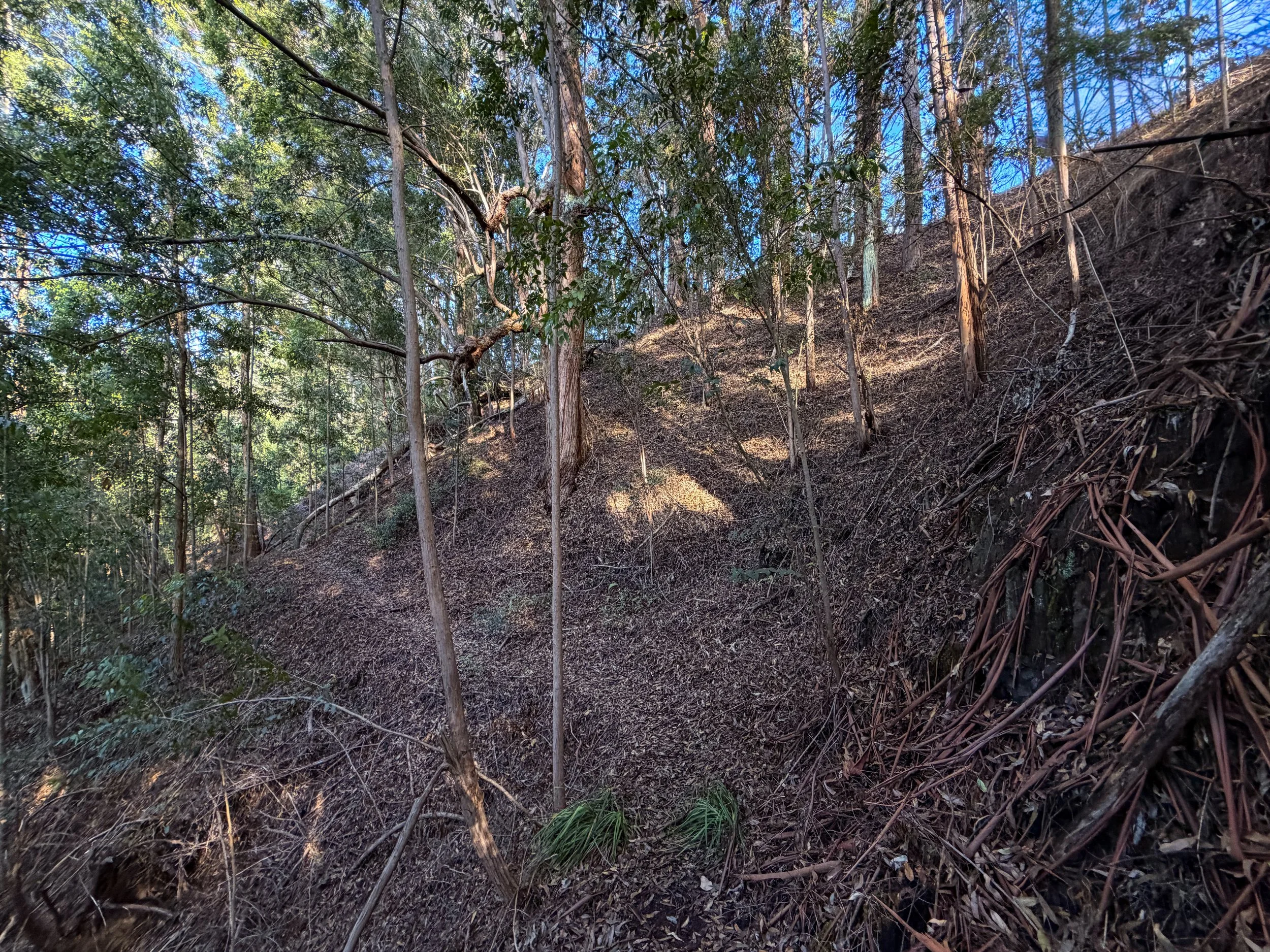 Mokuleia Trail Peacock Flats Oahu Hawaii