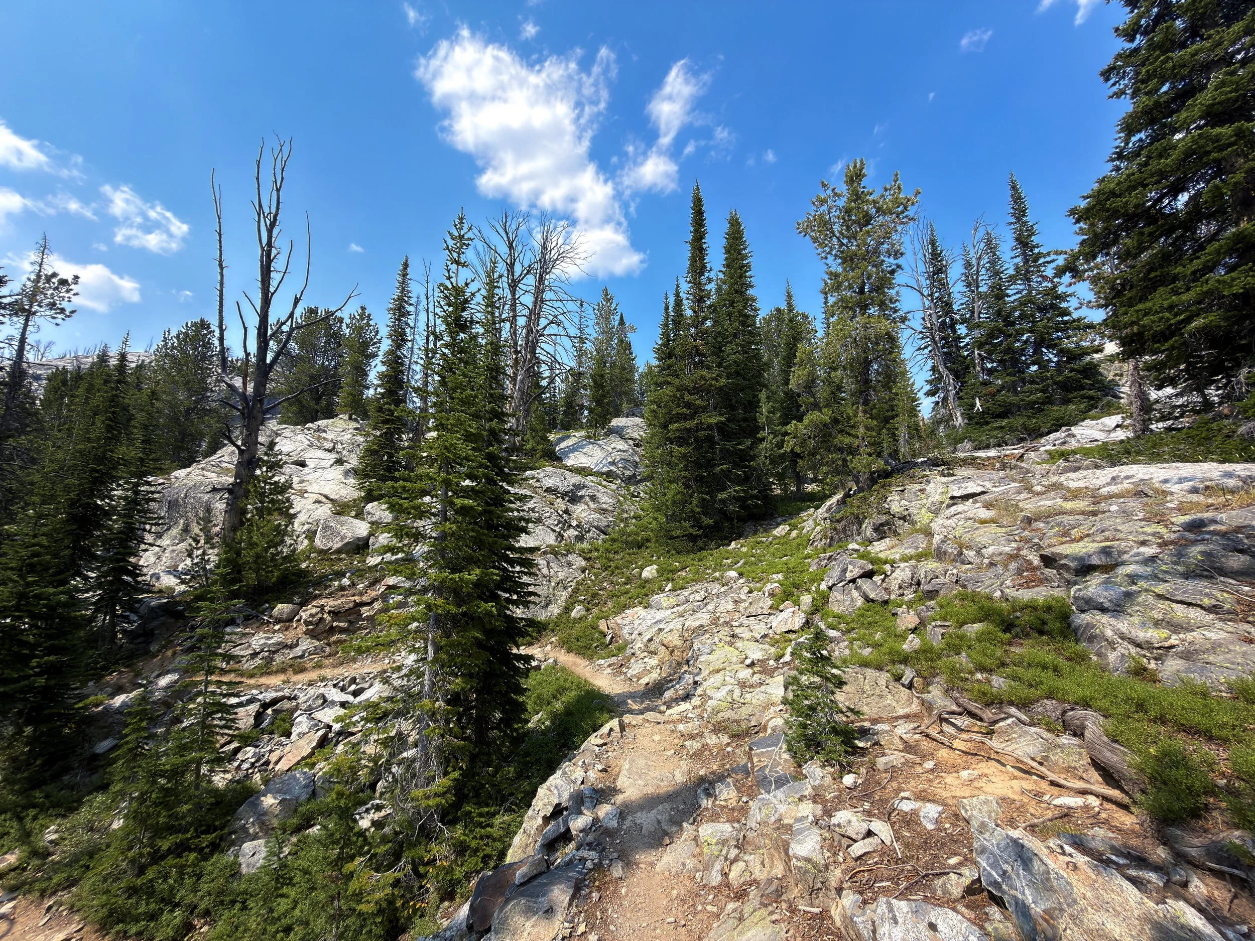 Russell Creek Trail The Beaten Path Beartooth Mountains Montana