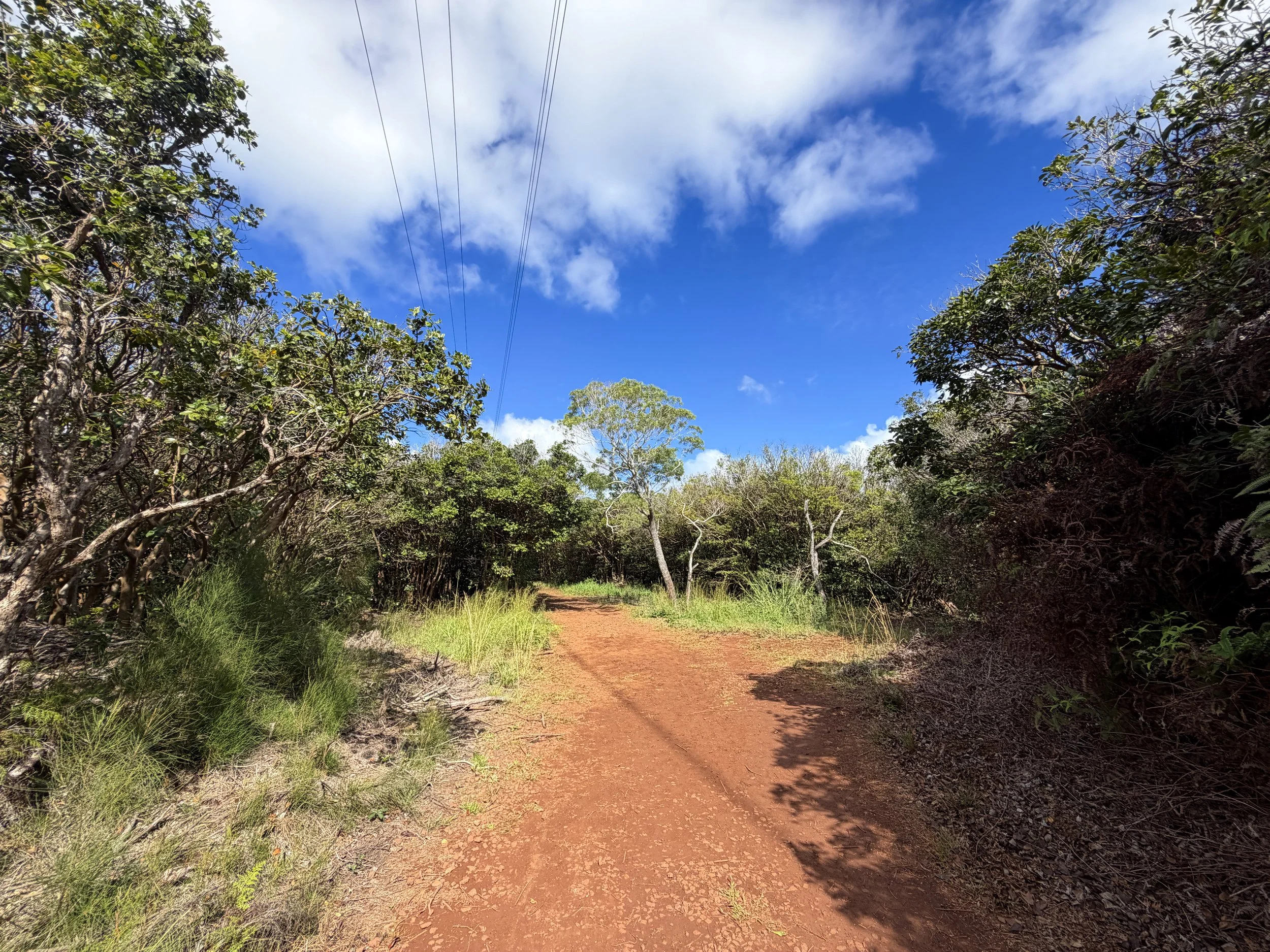 Wiliwilinui Ridge Trail Oahu Hawaii