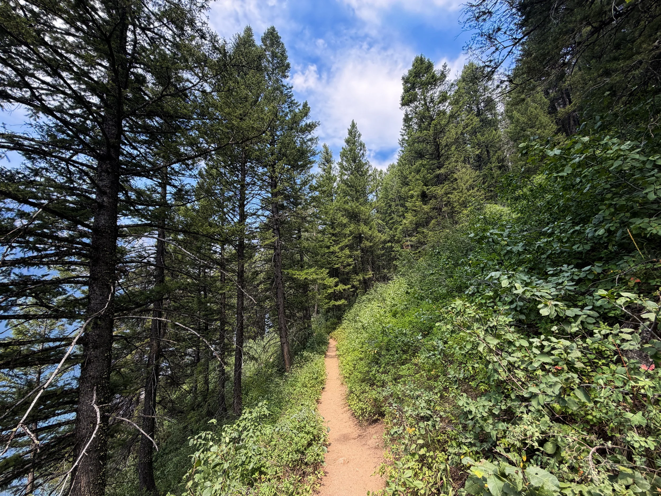 Phelps Lake Trail to Jumping Rock Grand Teton National Park Wyoming