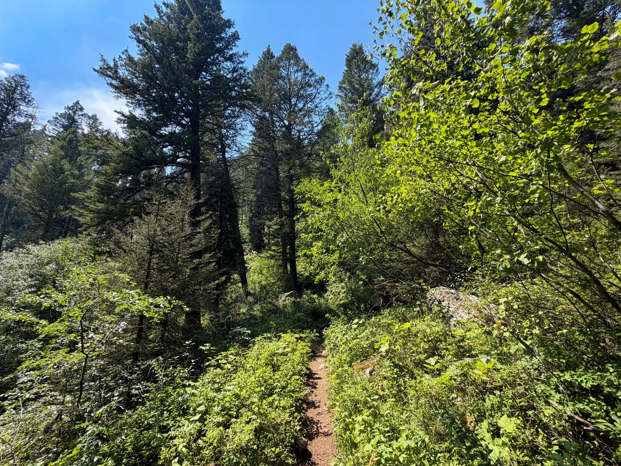 Phelps Lake Trail Grand Teton National Park Wyoming