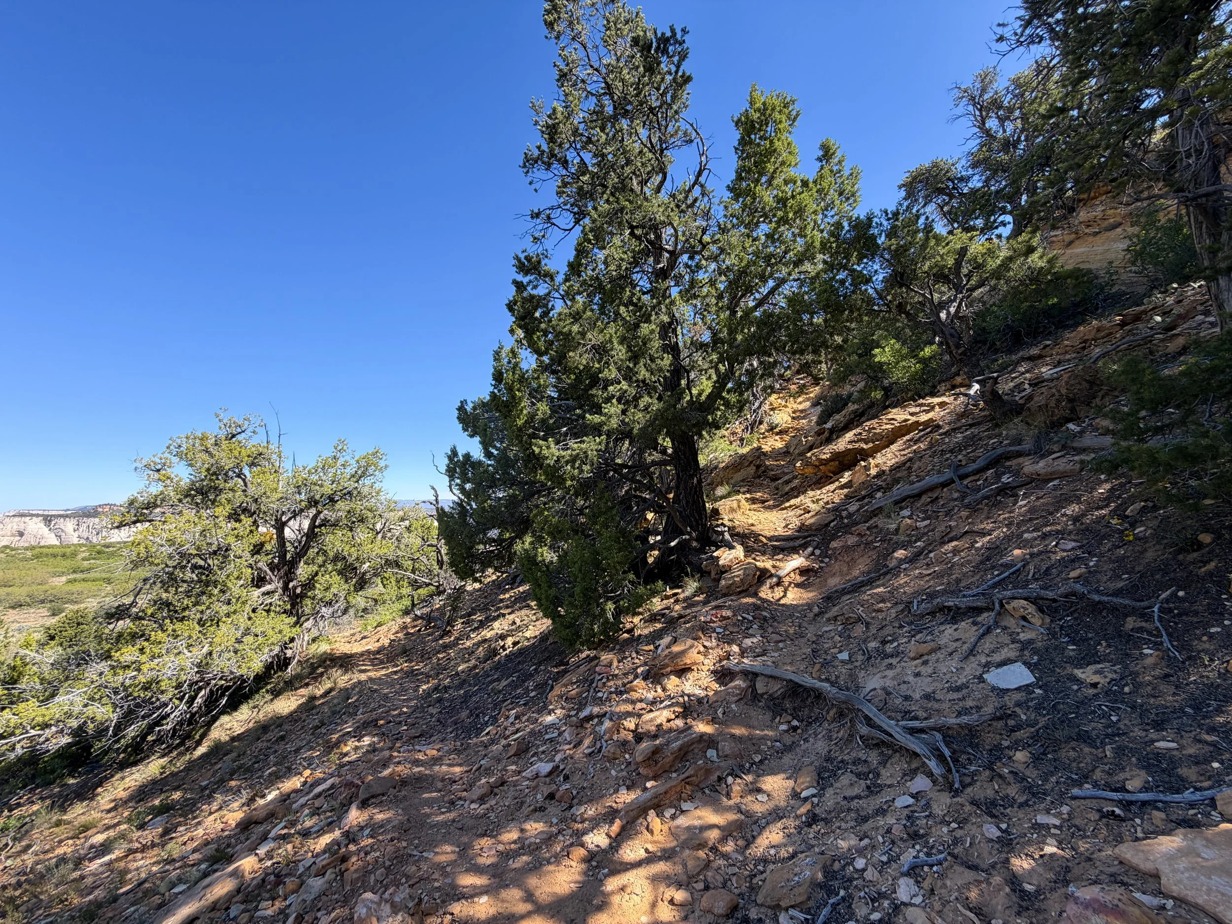 Deertrap Mountain Trail Switchbacks Zion National Park Utah
