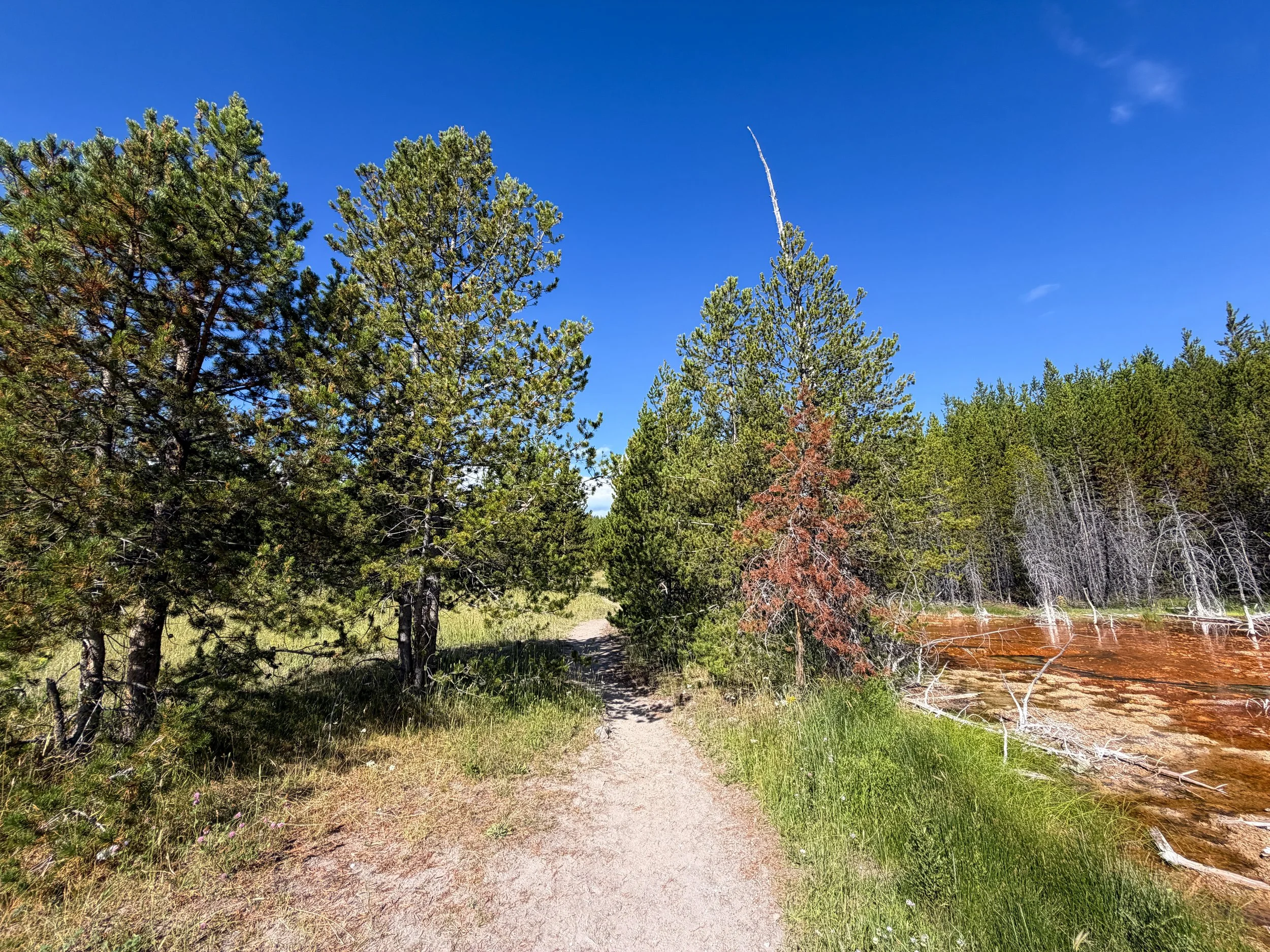 Imperial Geyser Trail Yellowstone National Park Wyoming
