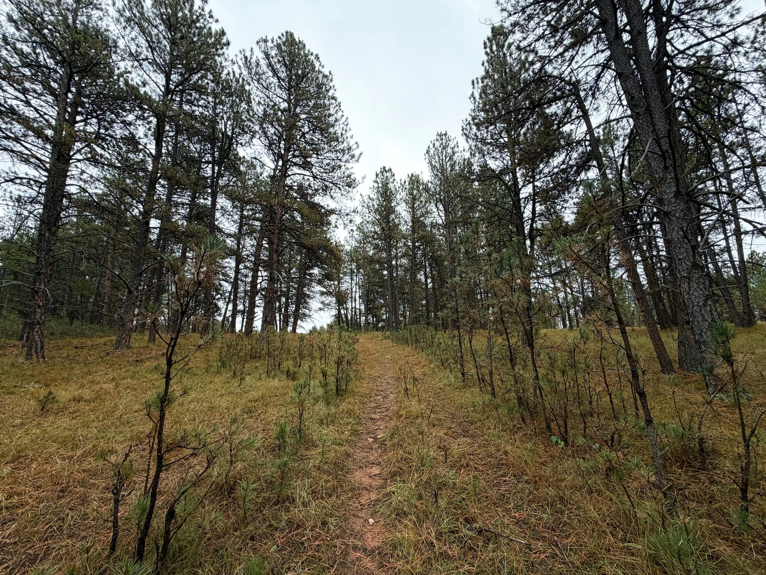Highland Creek Hike Wind Cave National Park South Dakota