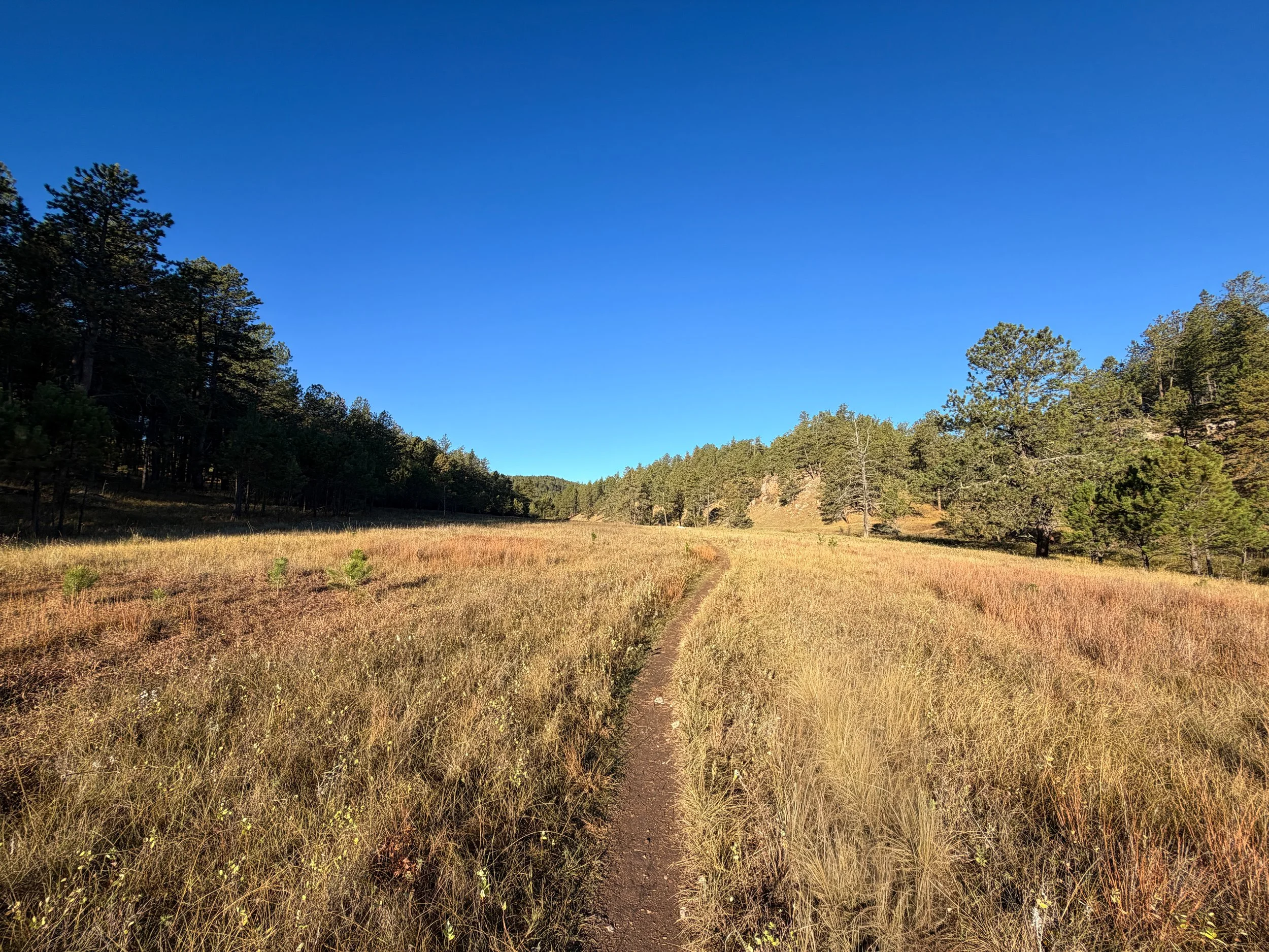 Cold Brook Canyon Hike Wind Cave National Park South Dakota