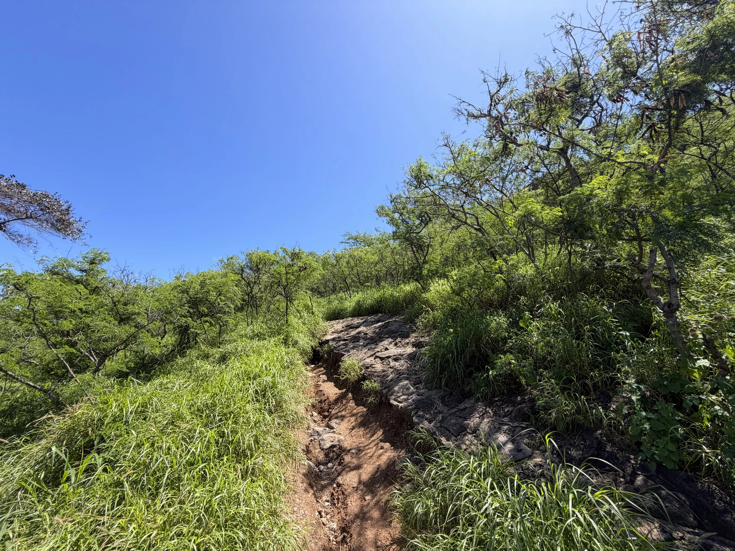 Puu O Hulu Trail Oahu Hawaii