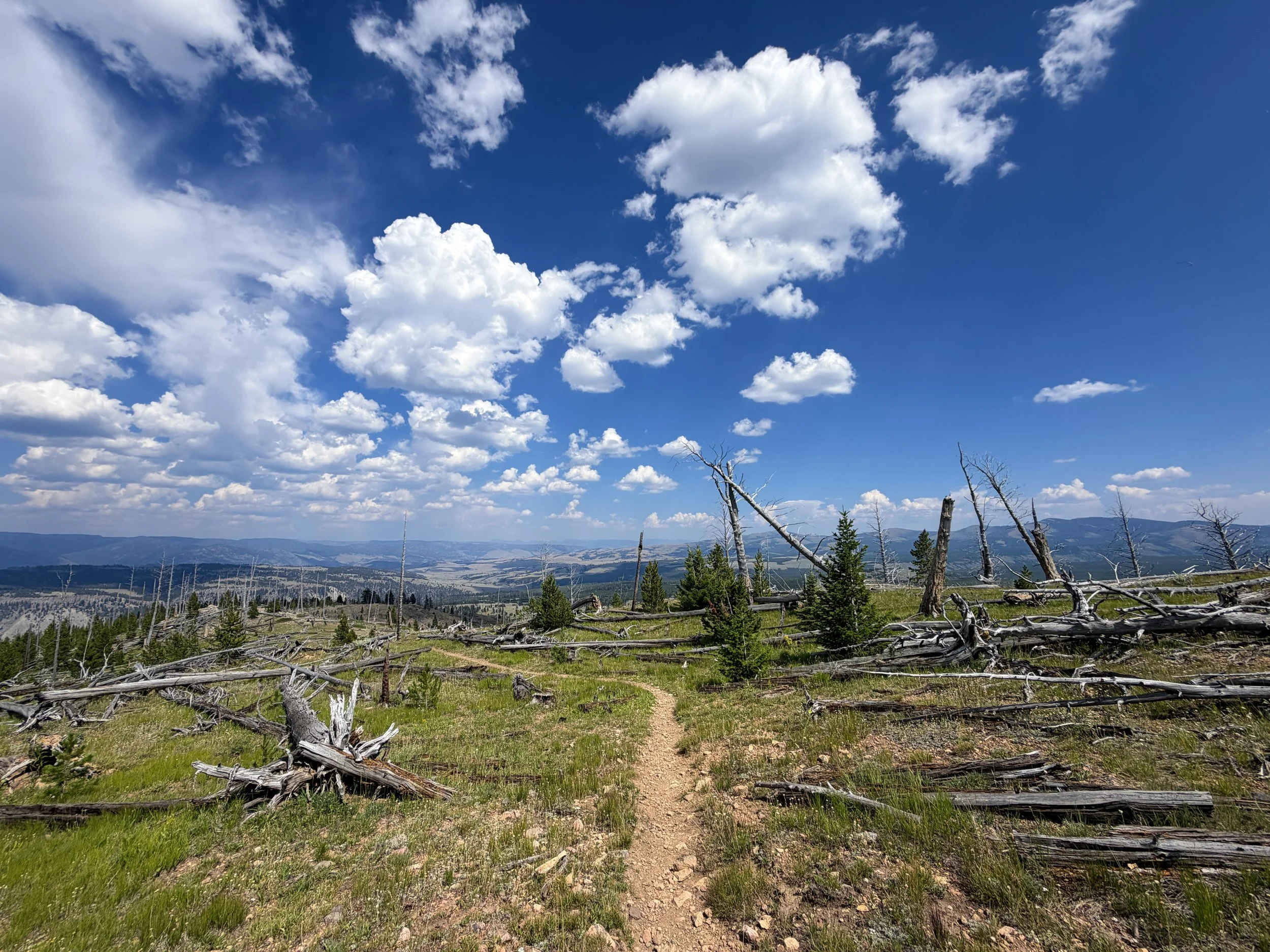 Bunsen Peak Trail to Osprey Falls Yellowstone National Park Wyoming