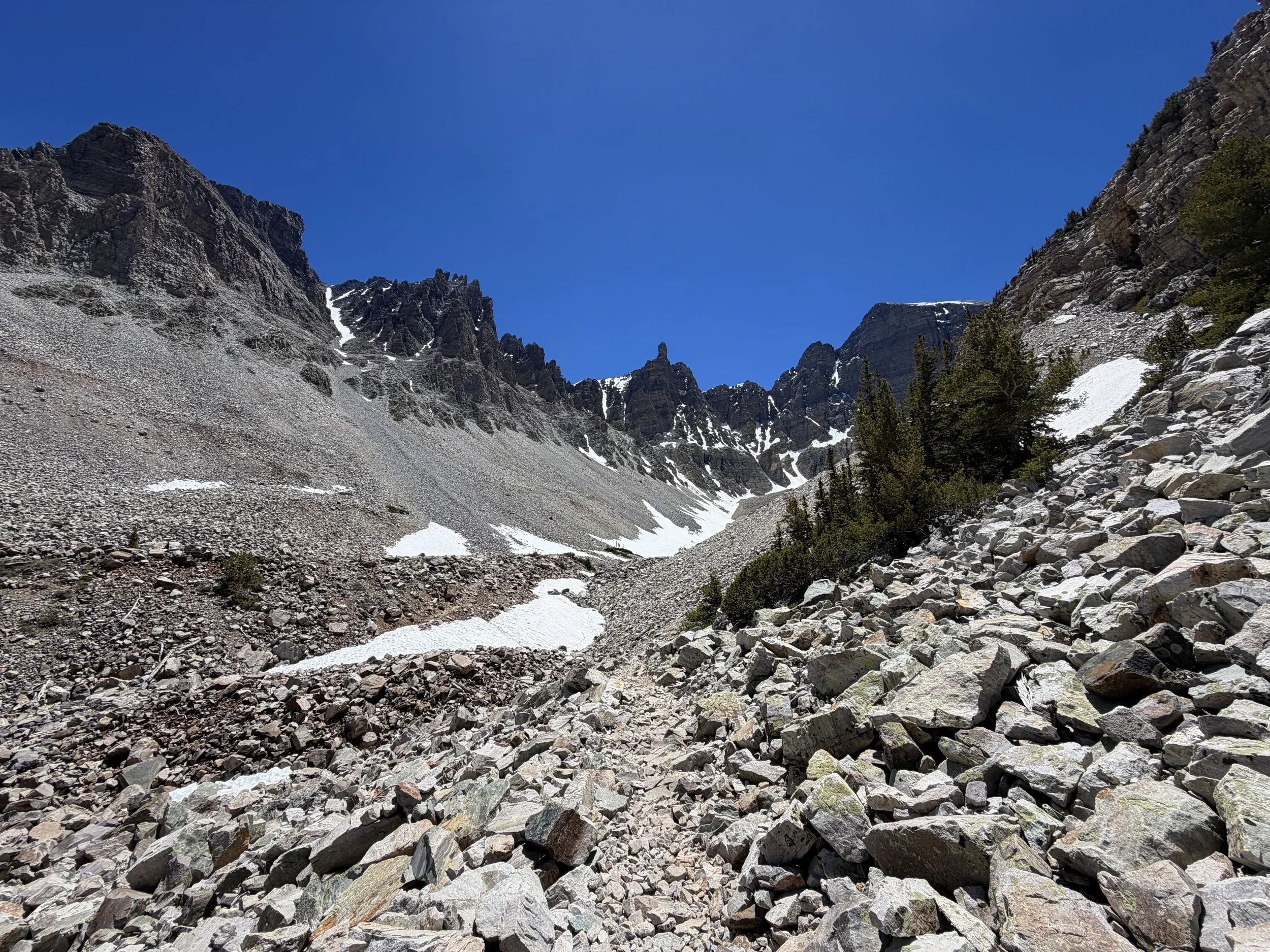 Glacier Trail Great Basin National Park Nevada