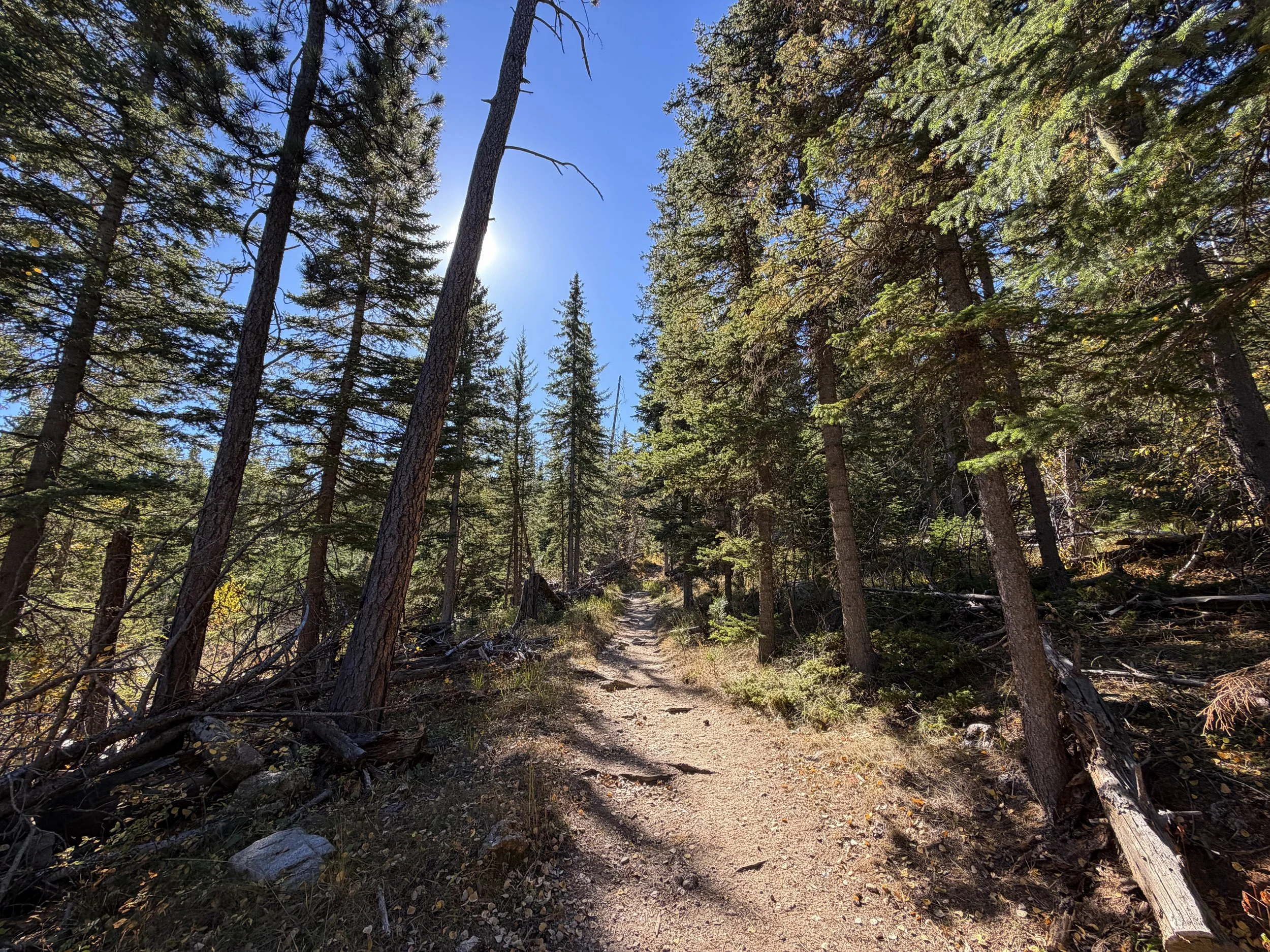 Sunday Gulch Trail Custer State Park Black Hills South Dakota