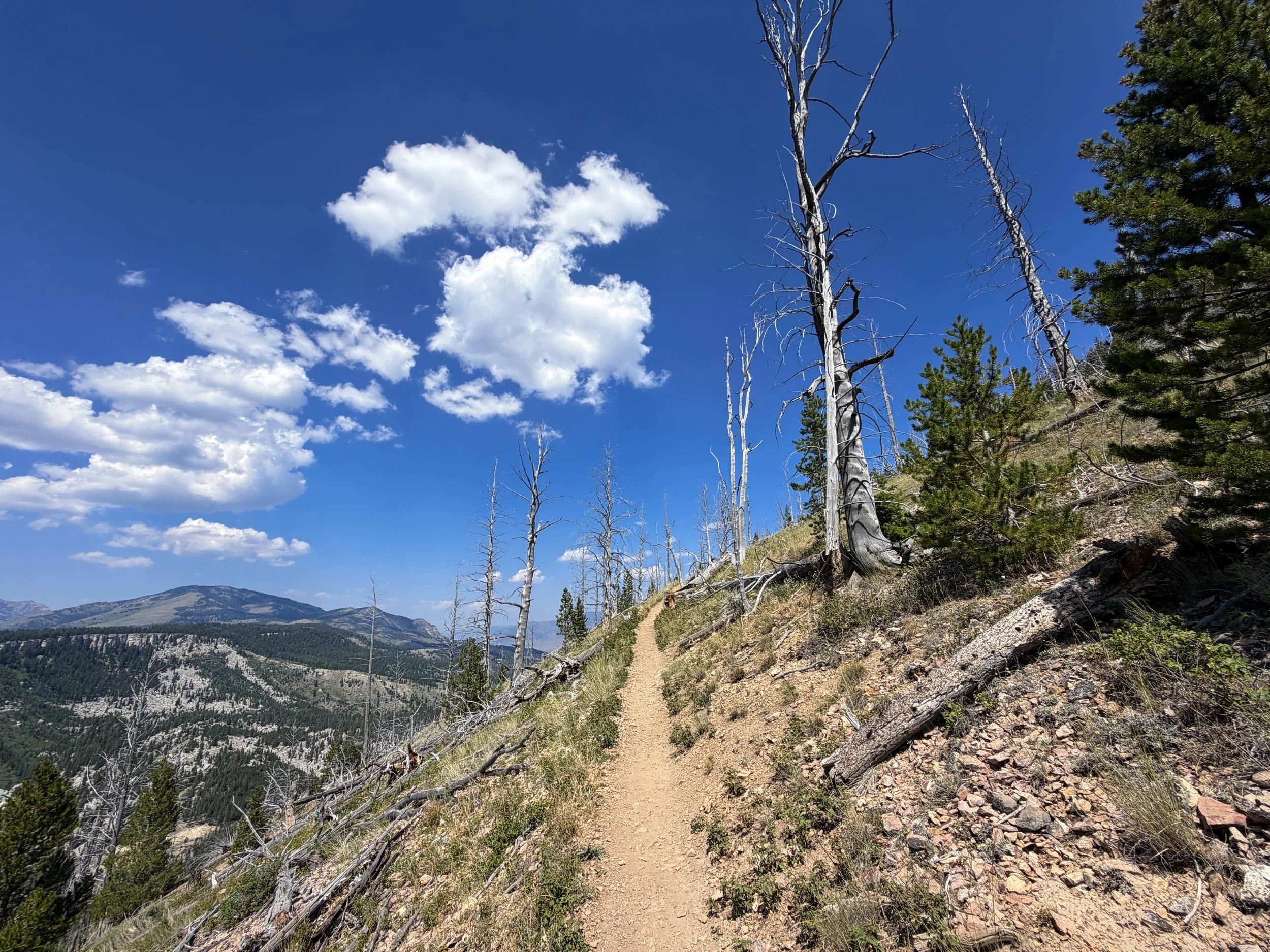 Bunsen Peak Hike Yellowstone National Park Wyoming